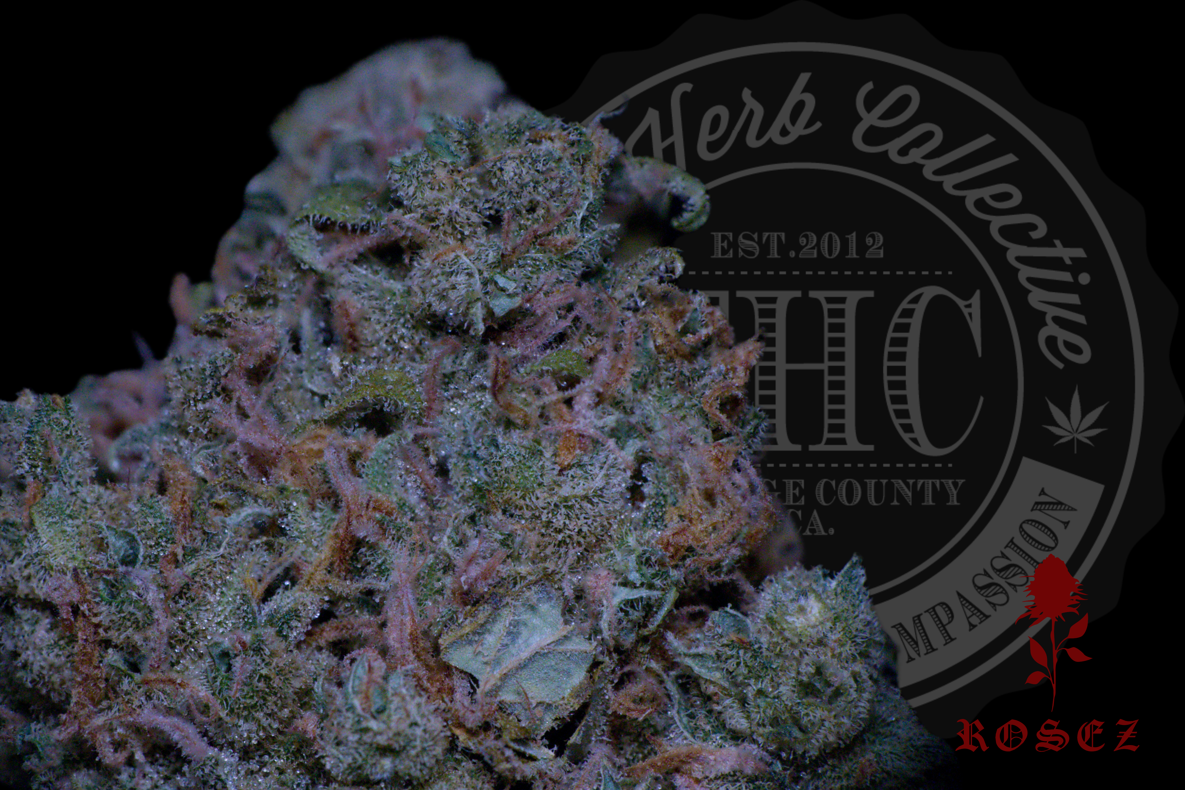 Silverback Haze 27.1%
