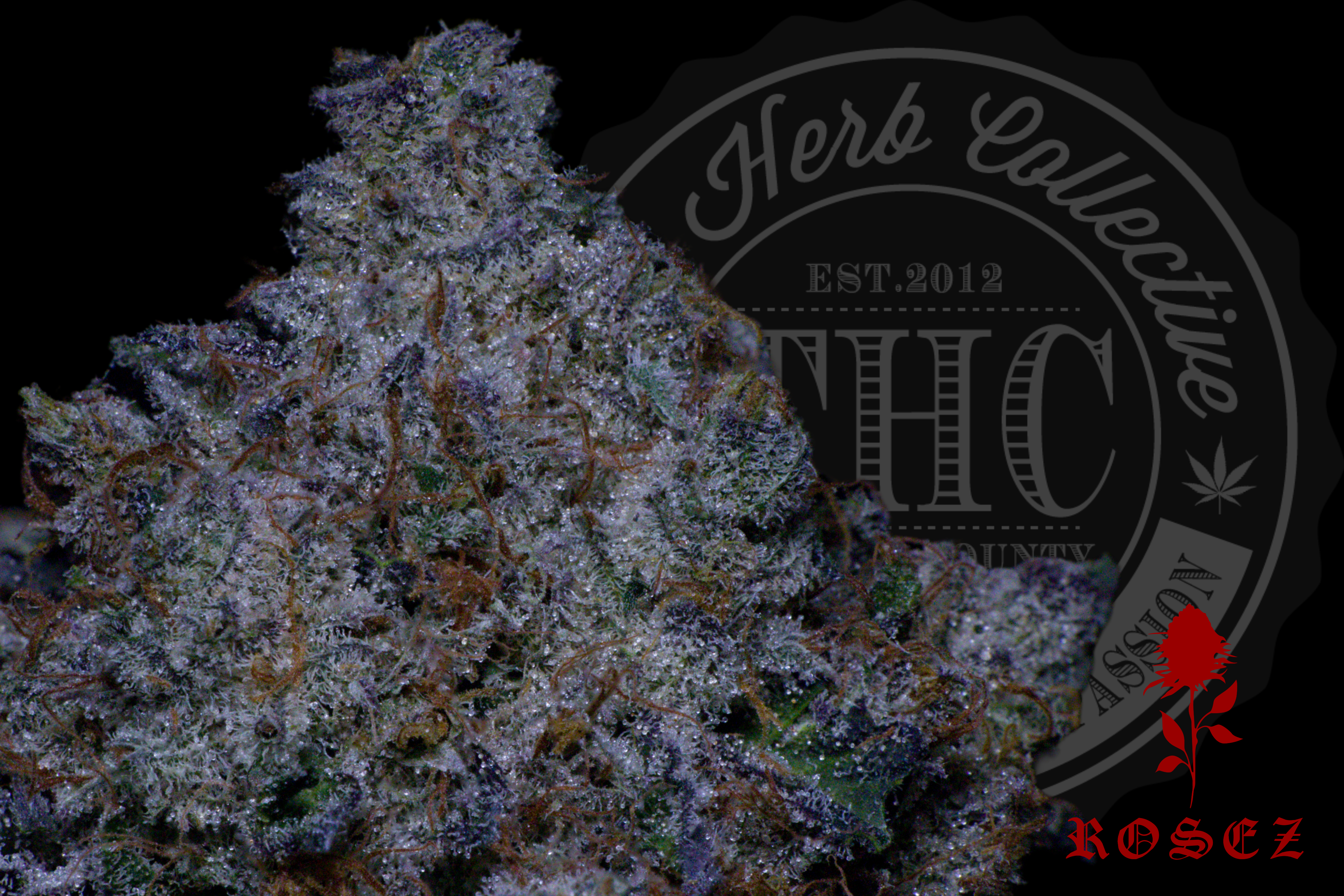 Gelato Creme 28.0%