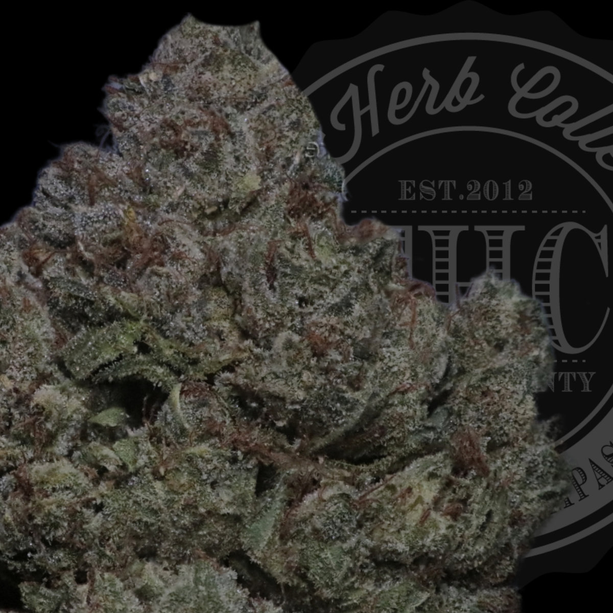 Starfighter OG 32.6%