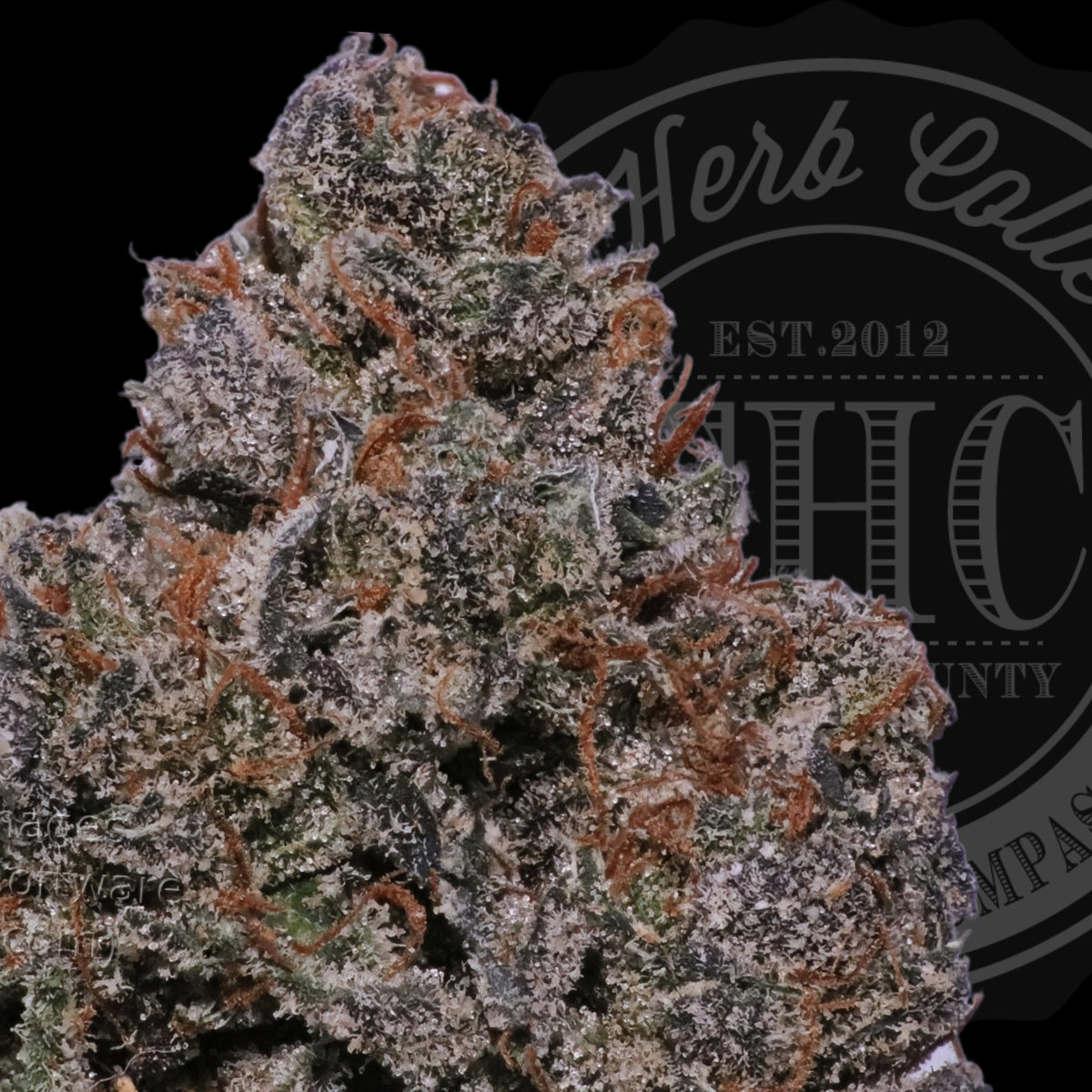 Lemon Pear-Tini 33.6%