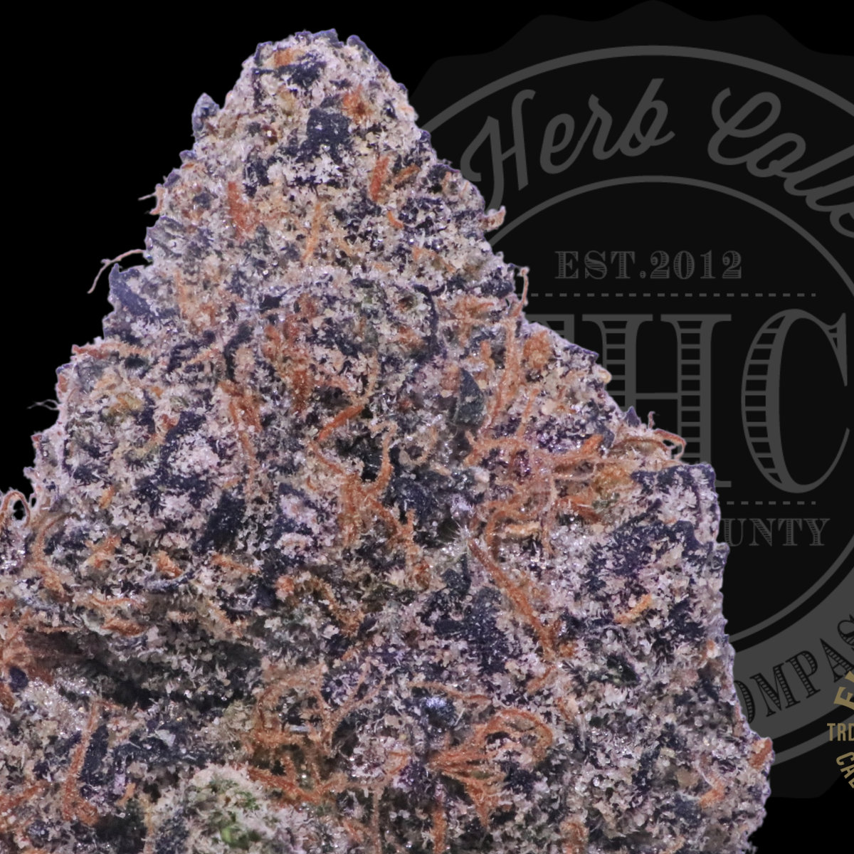 Funk Dip 31.8%