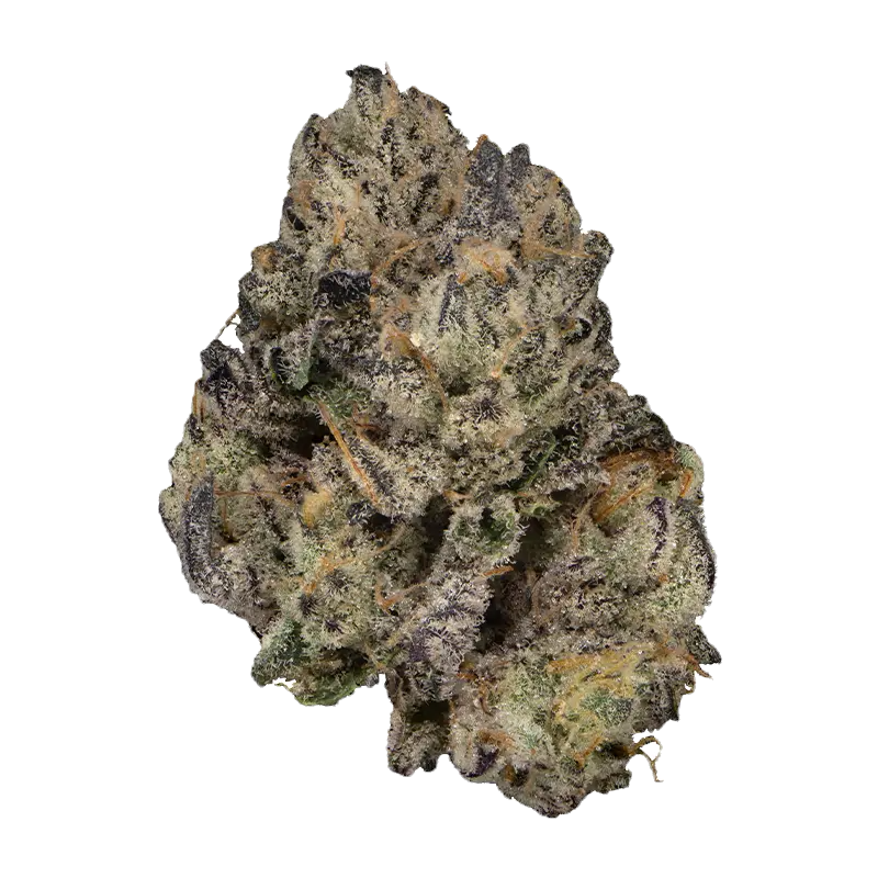 Ego Death #12 23.65% — 3.5 Grams
