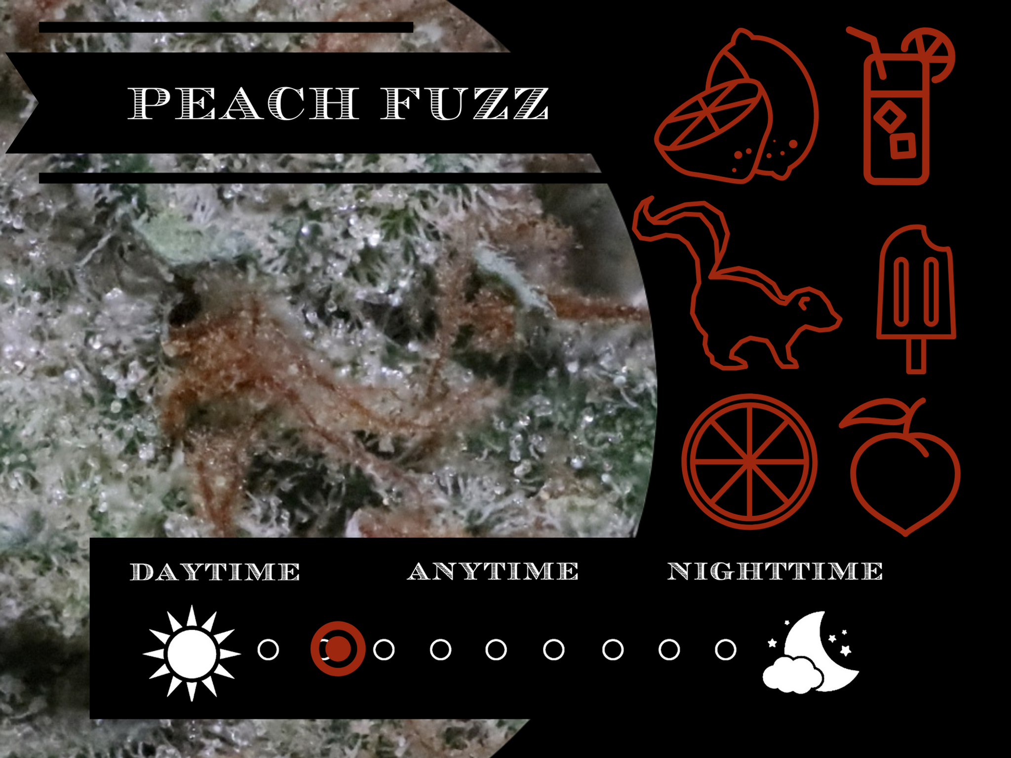 Peach Fuzz 26.2% view 2