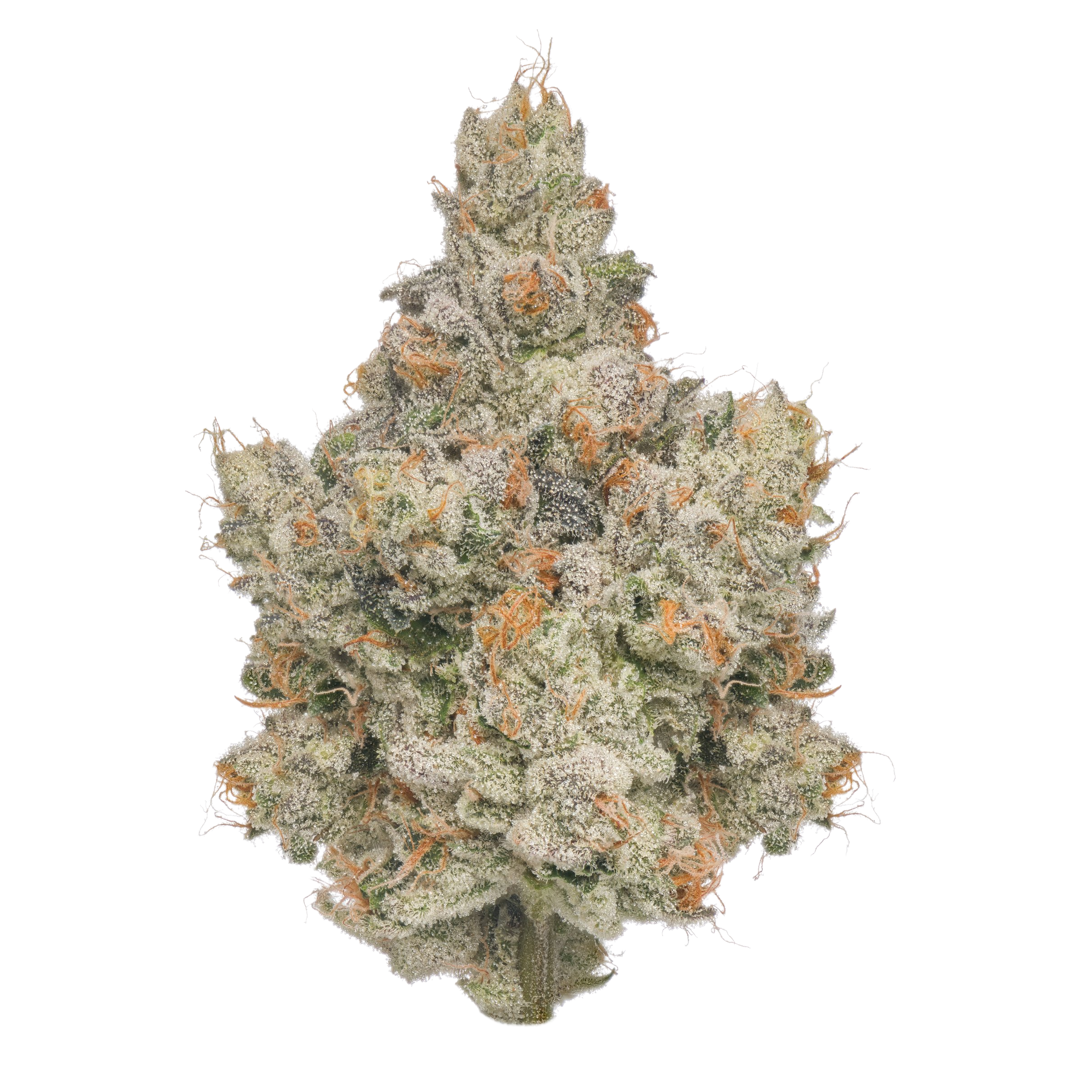 Gush Mints 36.0% — 3.5 Gram