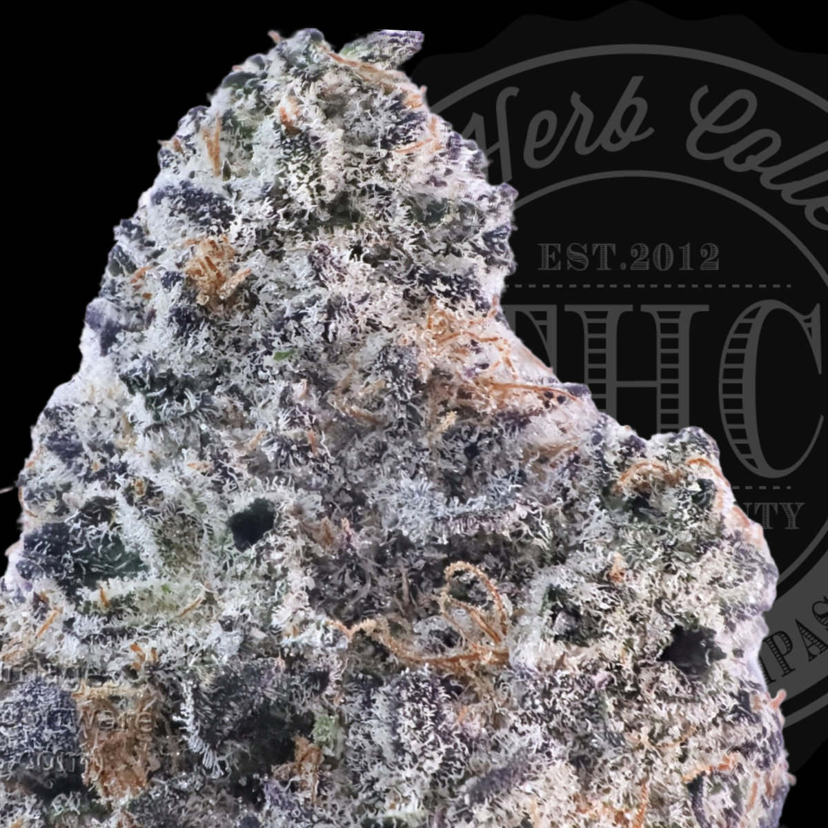 G.O.A.T. Cheese 33.8%
