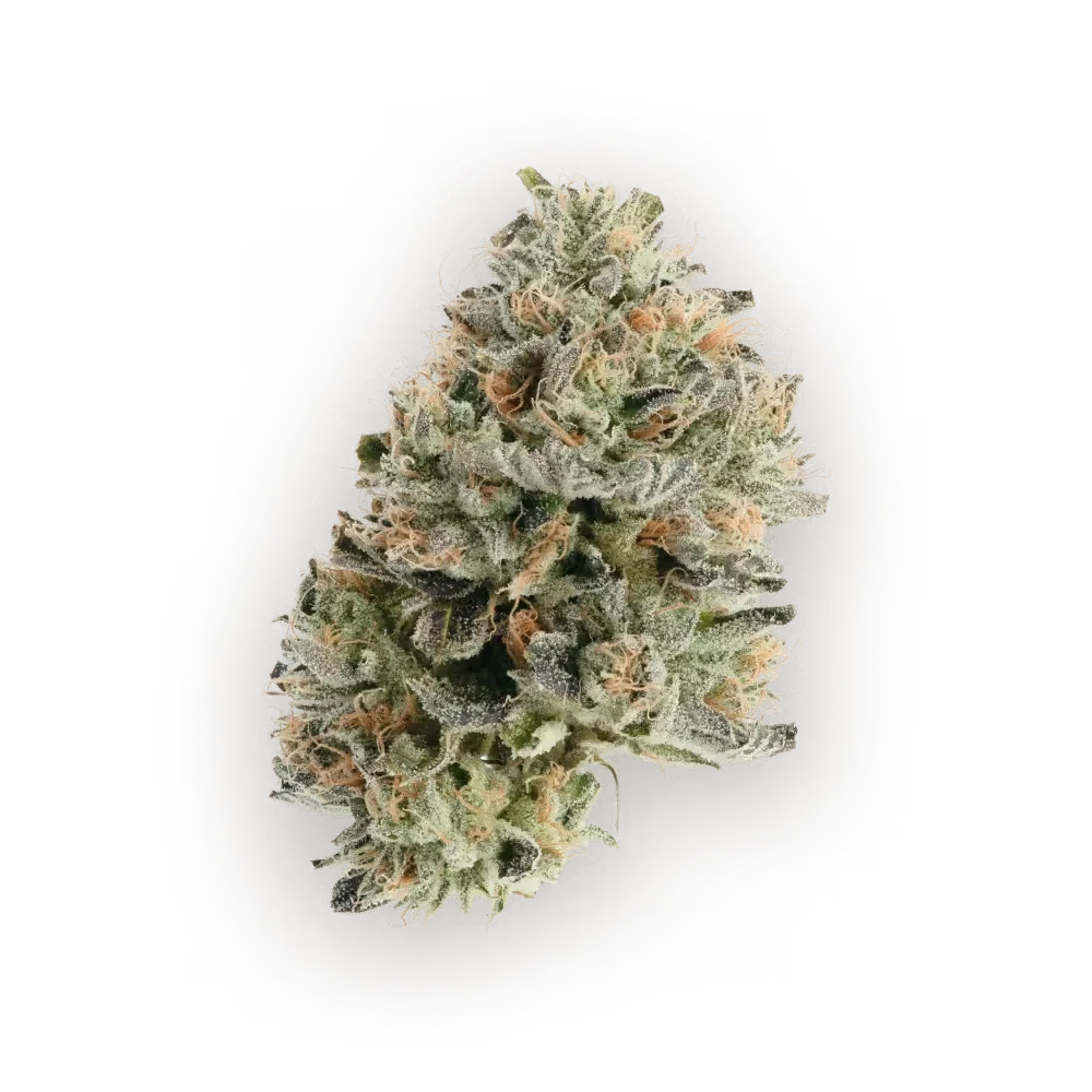 Grape Gasby 32.5% — 3.5 Grams view 2