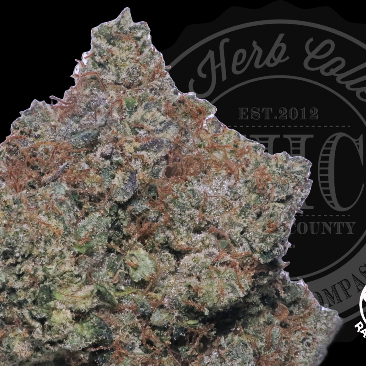 Trip Sauce 34.2%