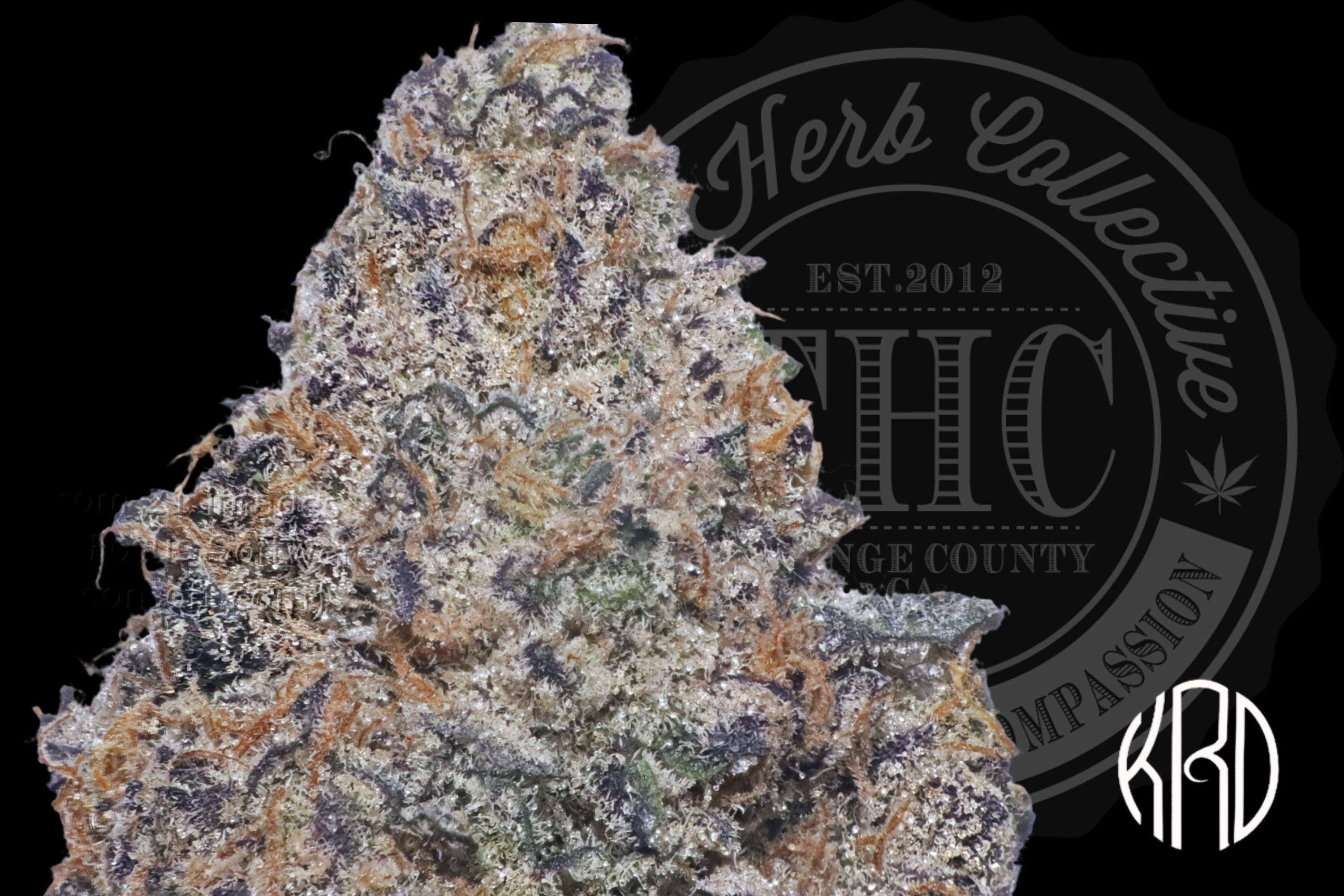 GARLIC COCKTAIL #8 33.3% | INDOOR SHELF | KRD