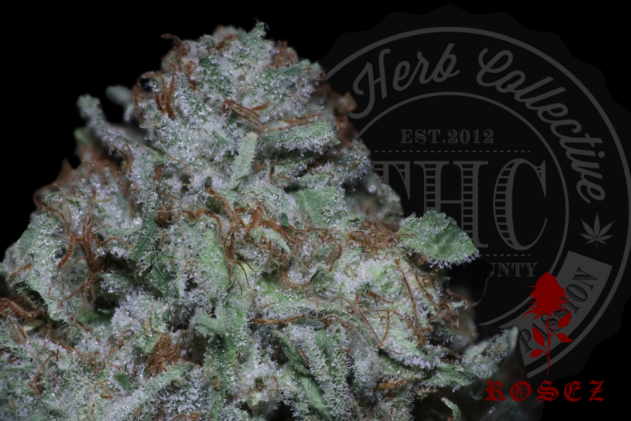 Strawberry Shortcake 27.6%