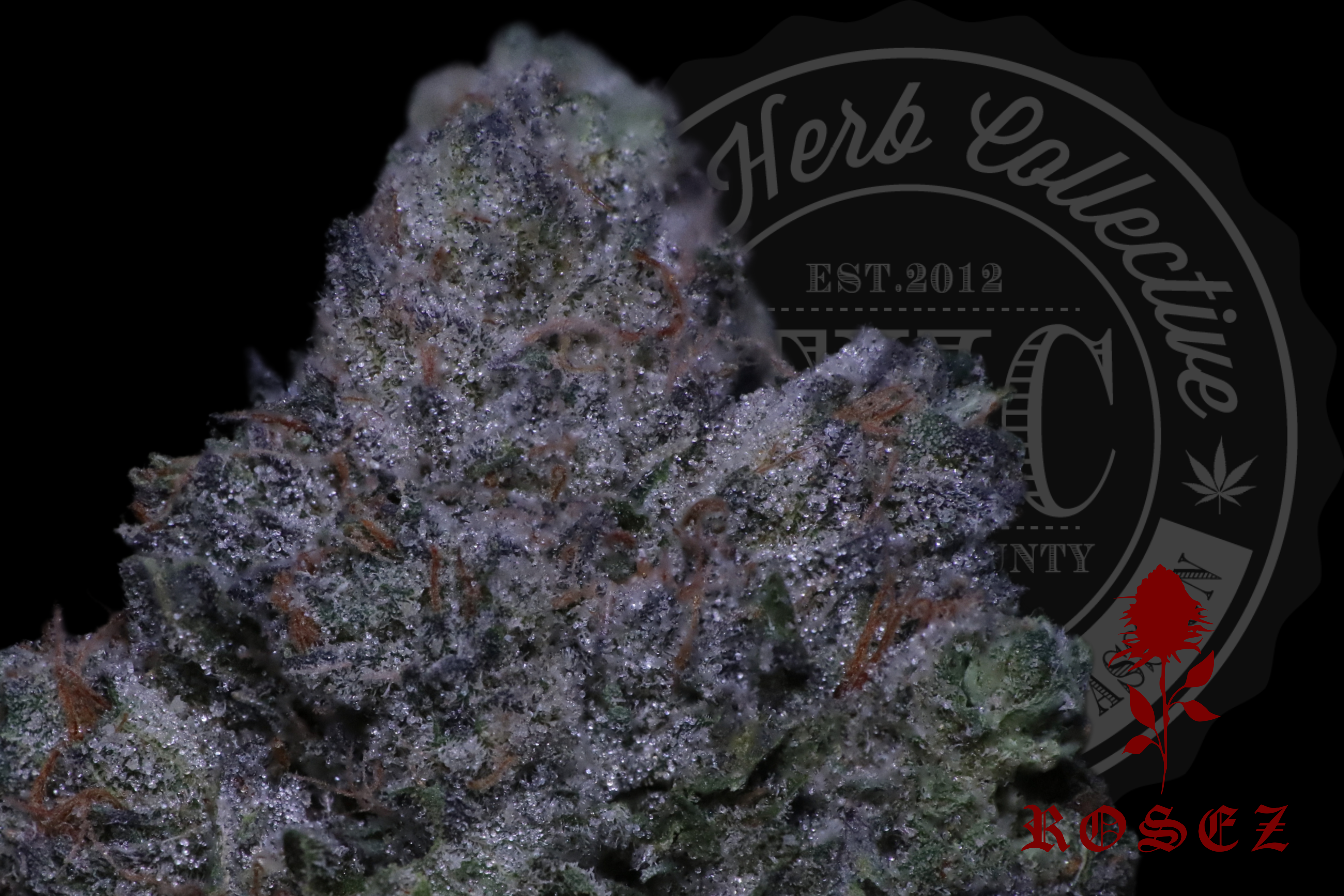Mac Gelato #33 27.2%