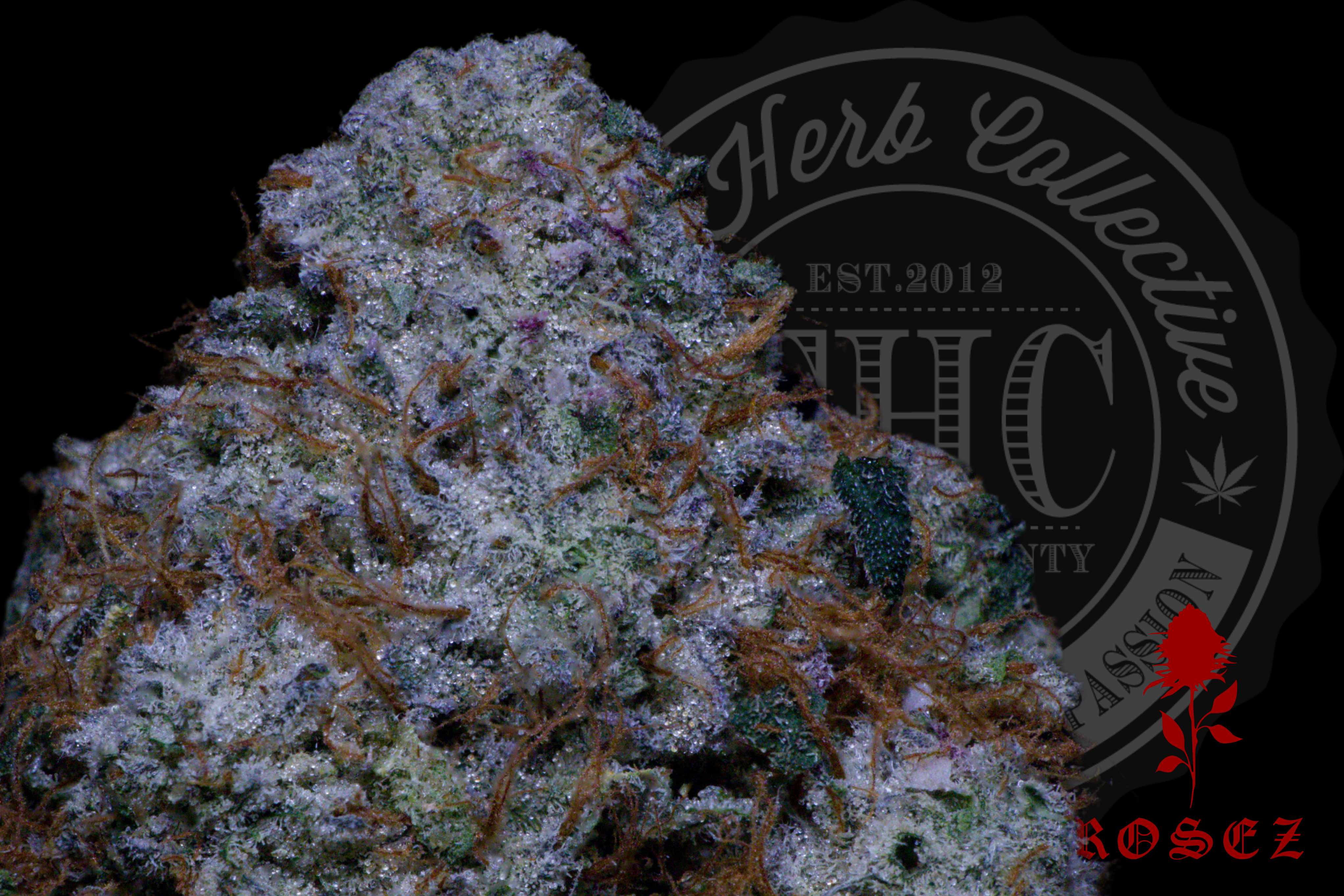 Cookie Dough 28.0%