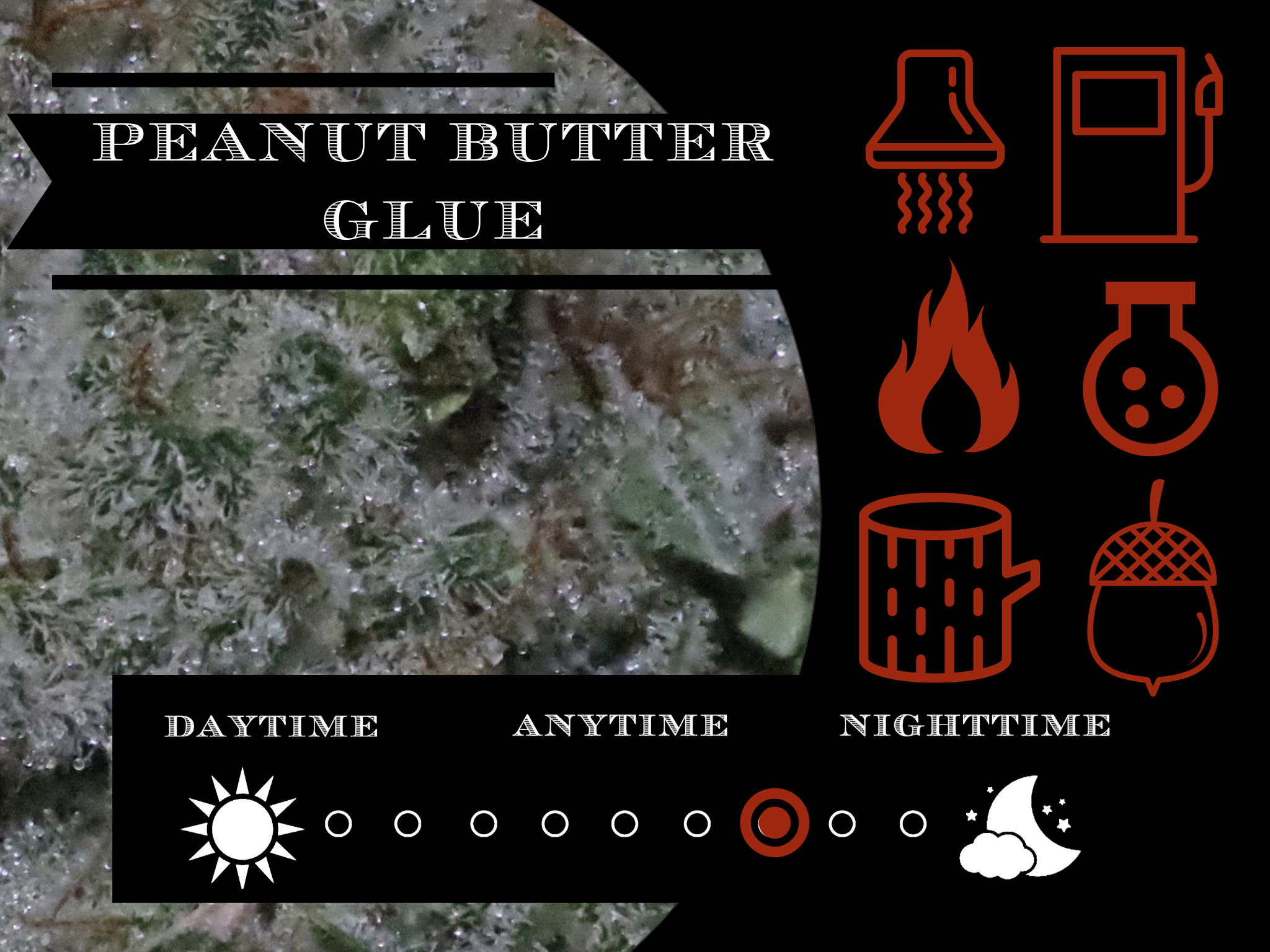 Peanut Butter Glue 28.2 % view 2