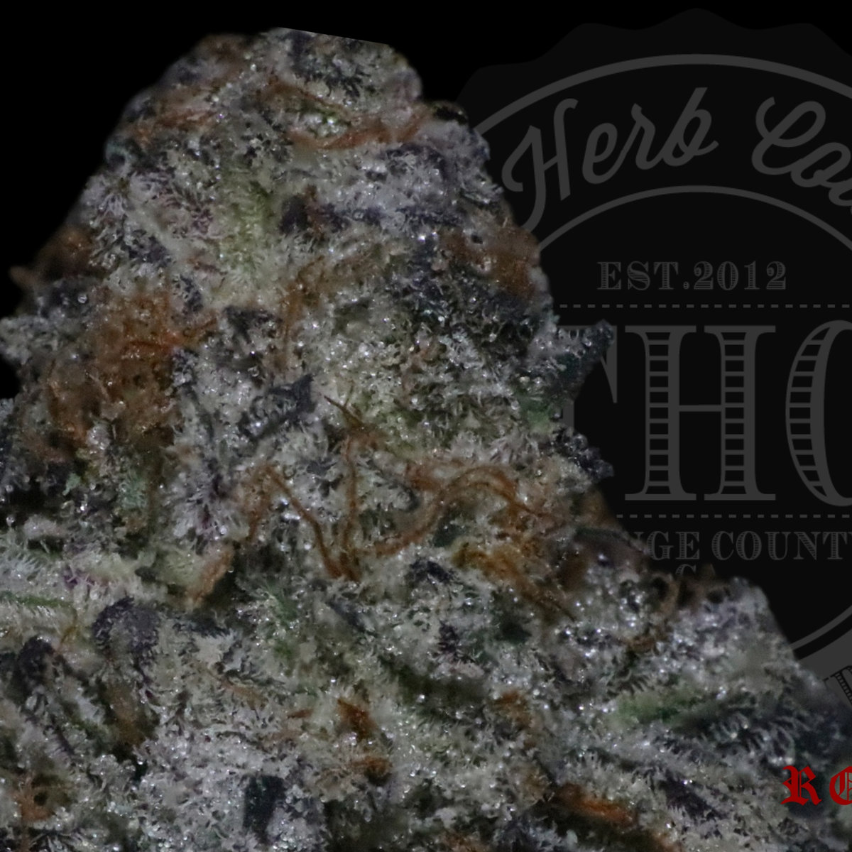 Platinum Mac 27.8%