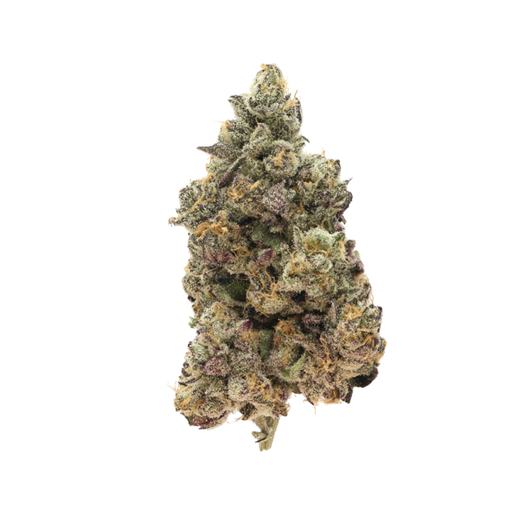 Rick Jamez #3 16.76% — 3.5 Grams