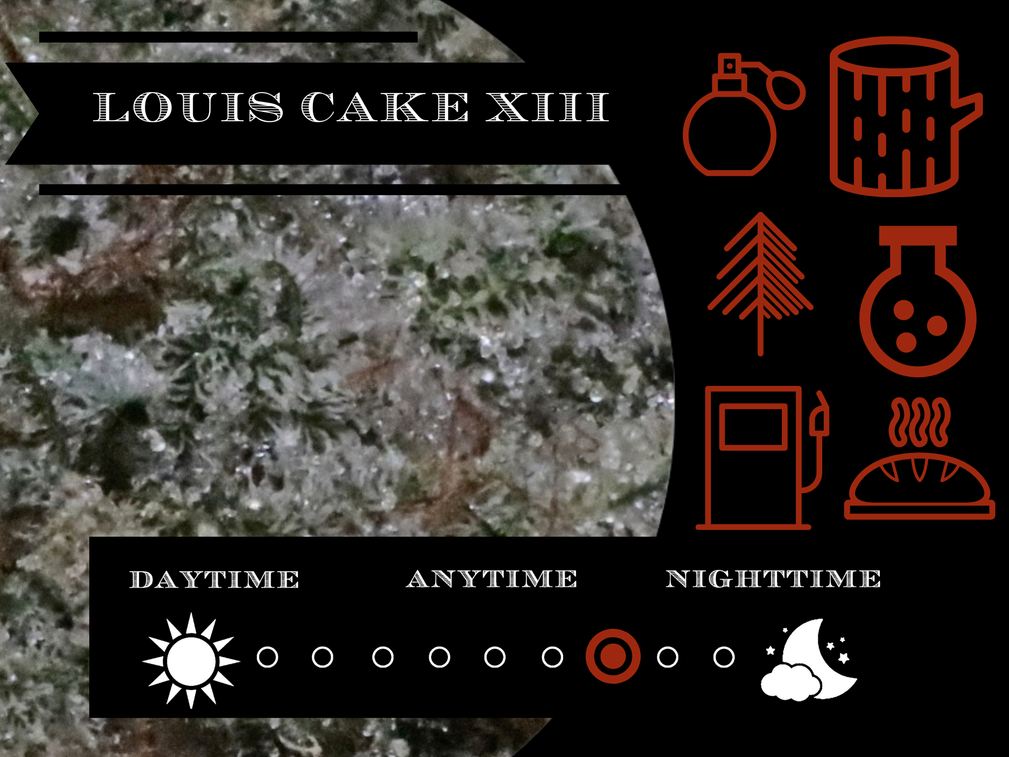 Louis Cake Xiii 27.2% view 2