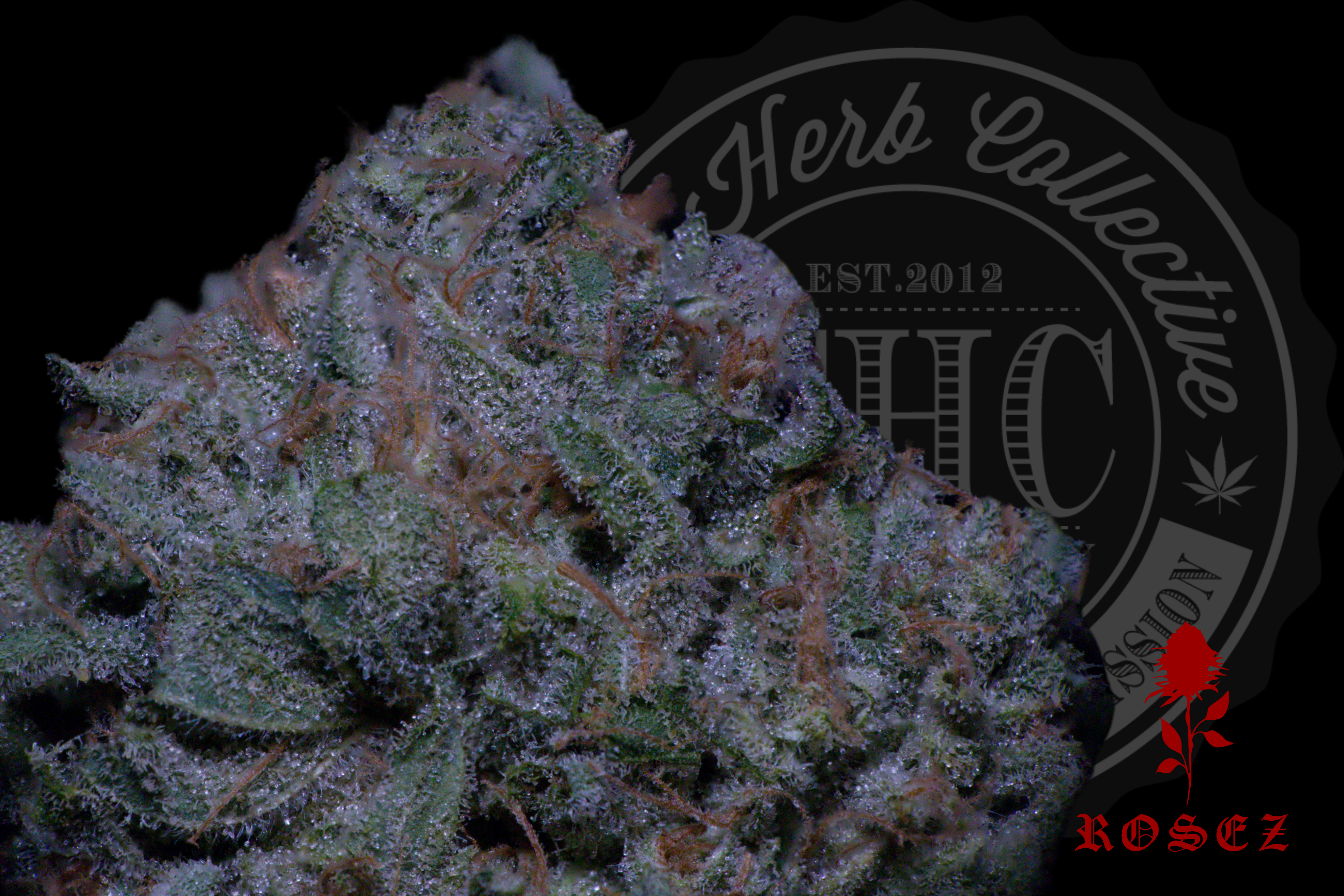 Organic Exotic — Rosez Co.