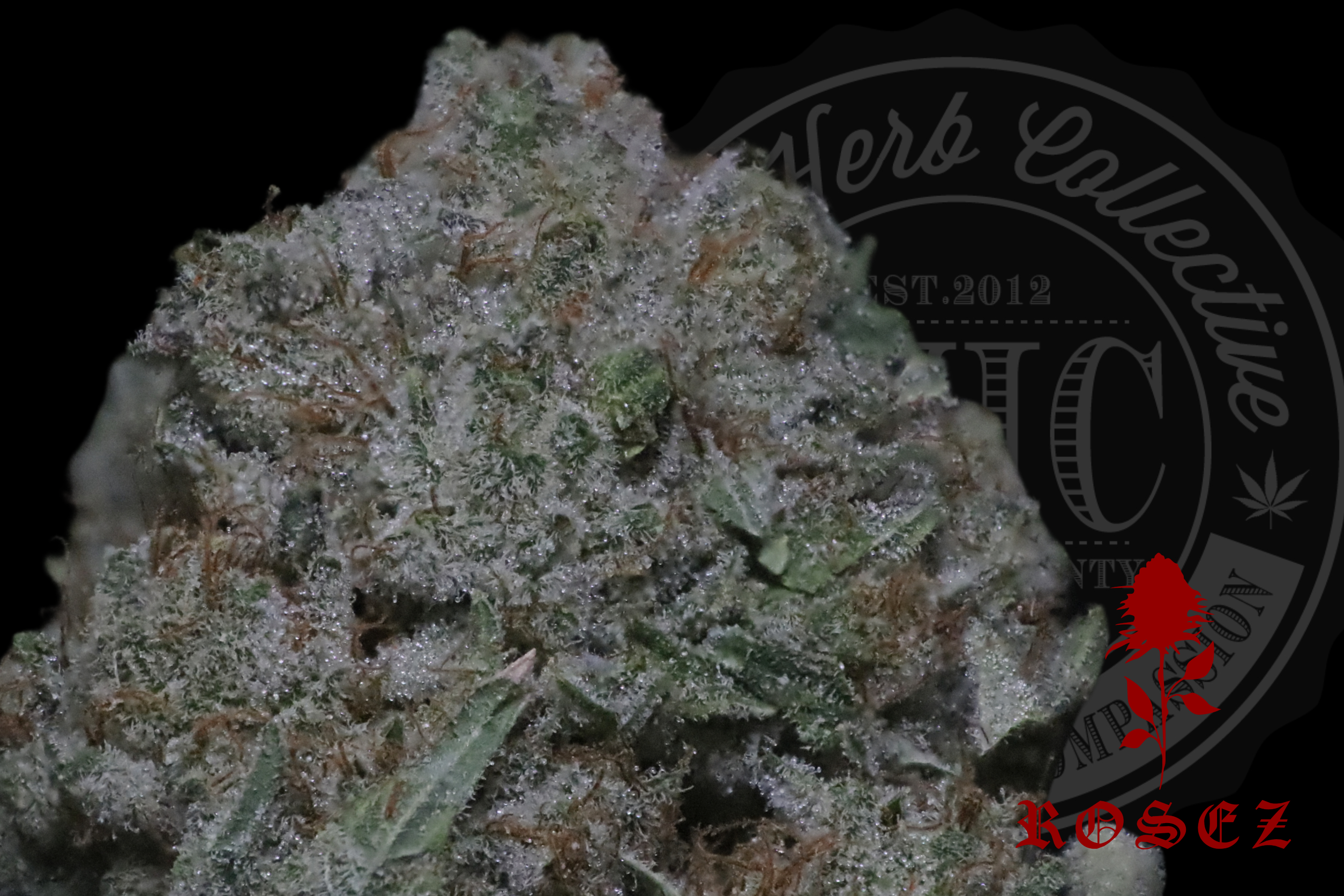 Mac Wreck 27.8%