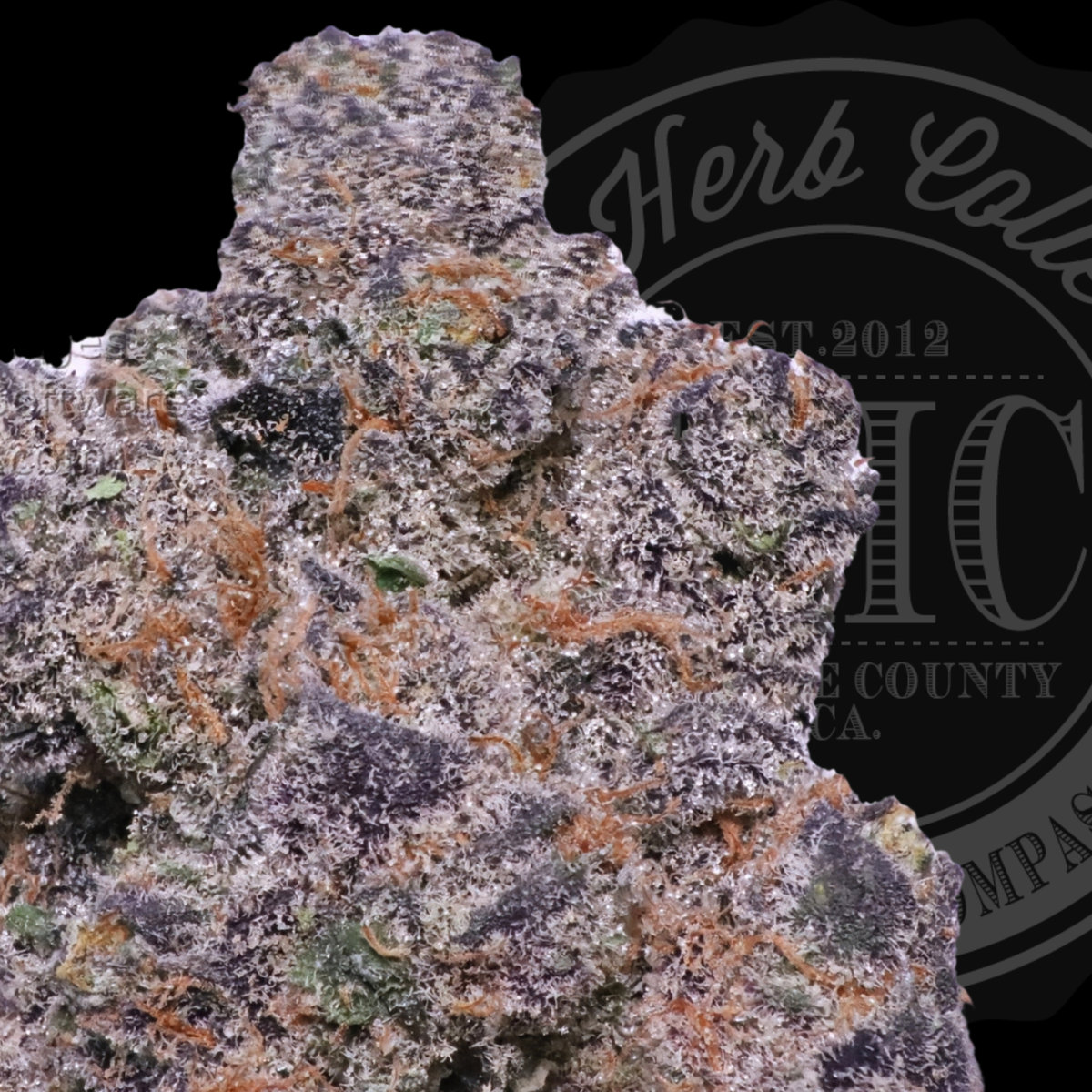 Fuji Apple Fritter 36.4%