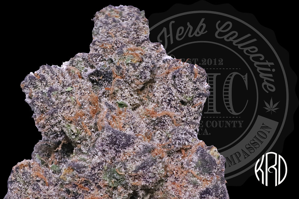 FUJI APPLE FRITTER 36.4% | EXCLUSIVE CUT | KRD