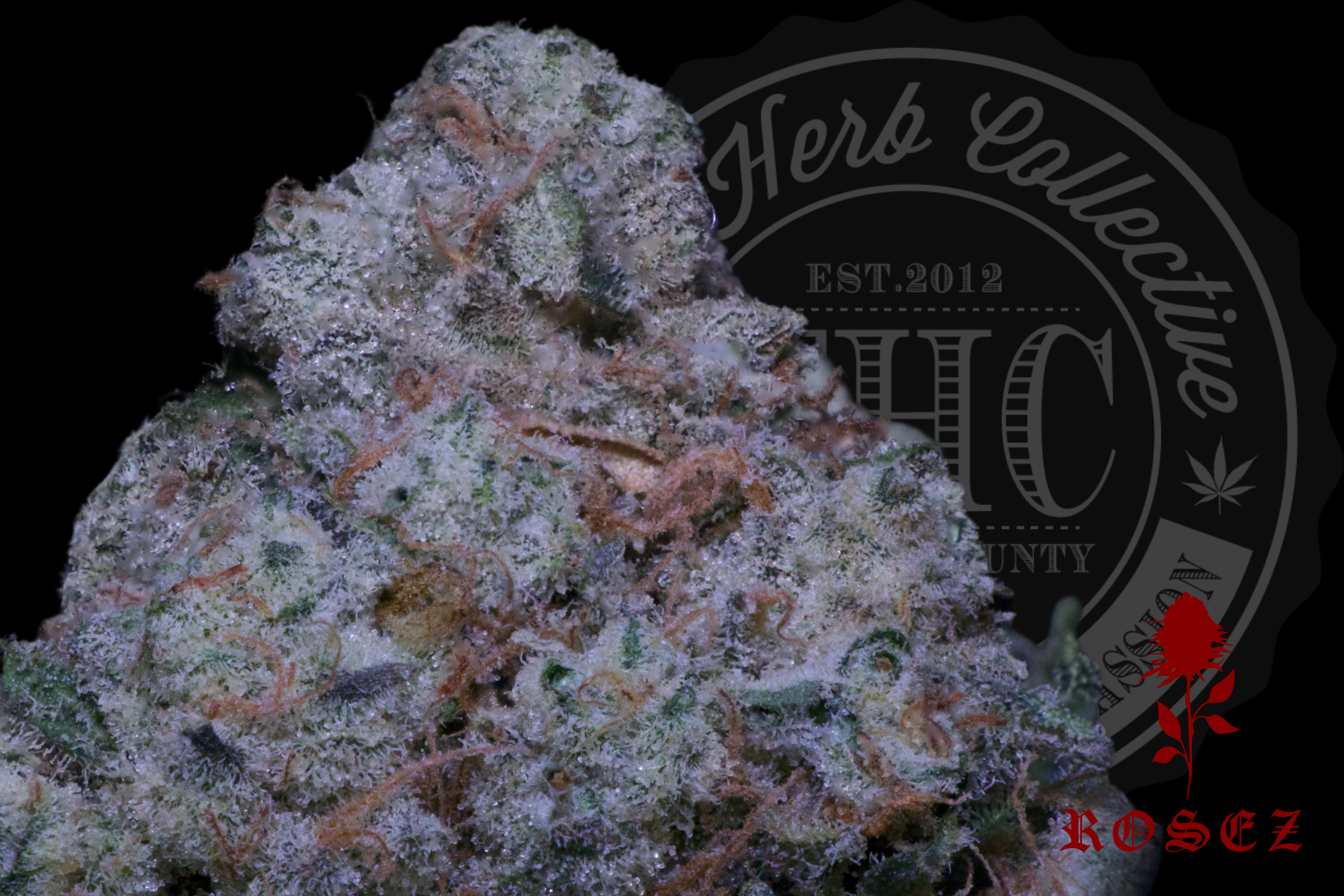 White Caramel Fritter 28.4%