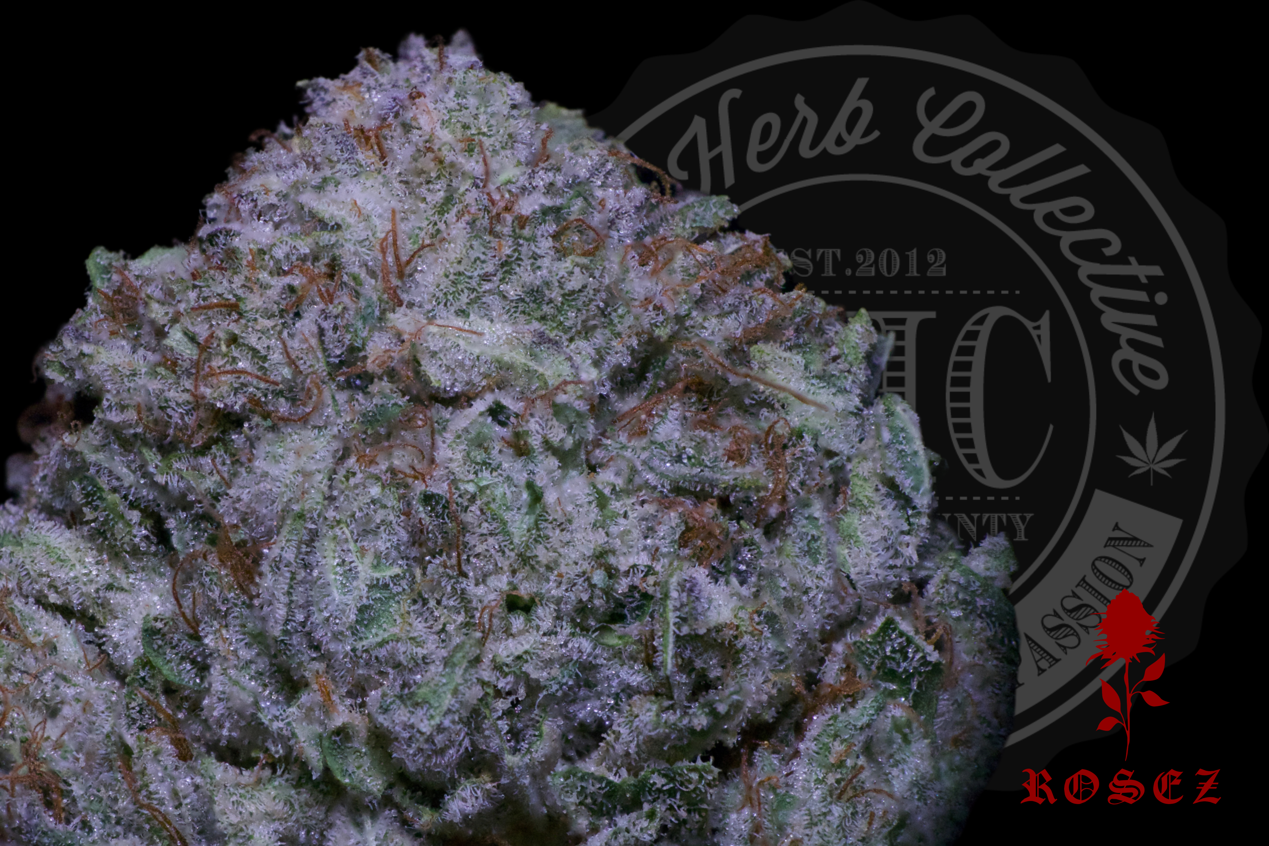 Kong Butter OG 27.6%