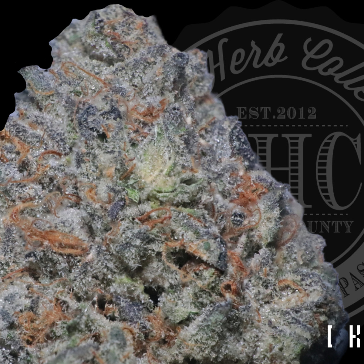 Giest Formula #1 37.2%