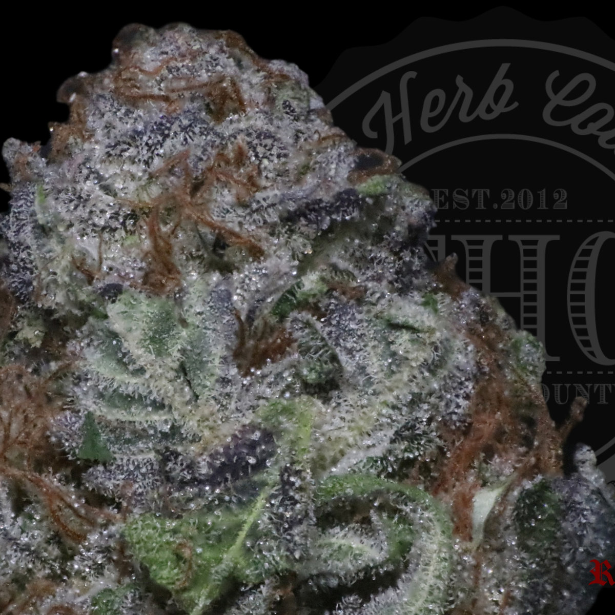 Mandarin Zkittlez 27.1%