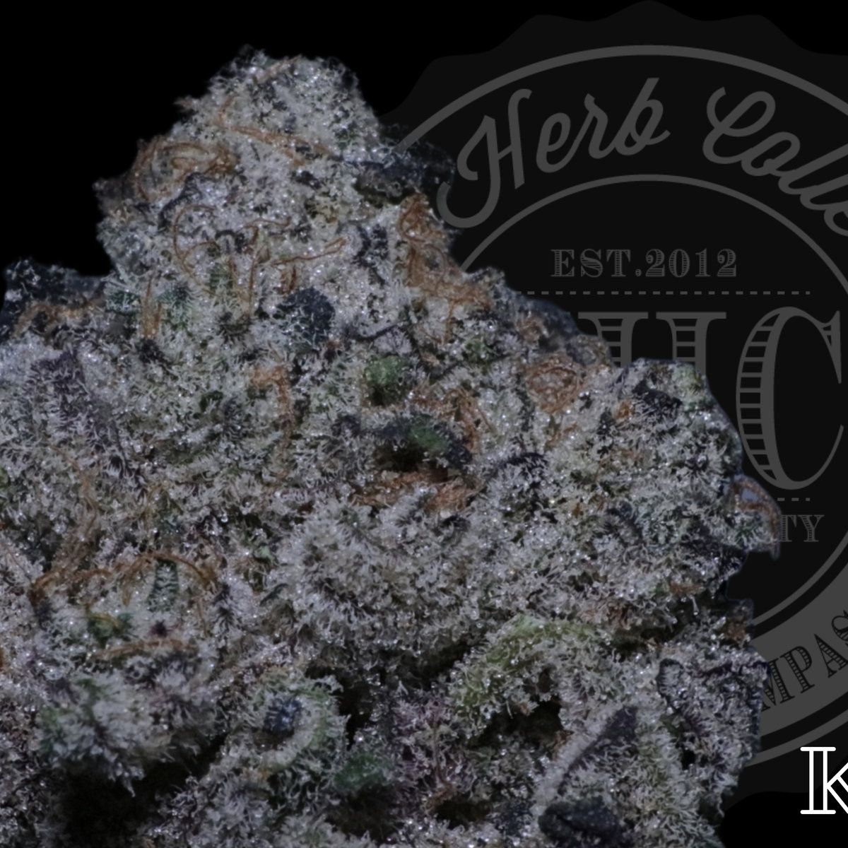 Cornflake Kush 34.8%
