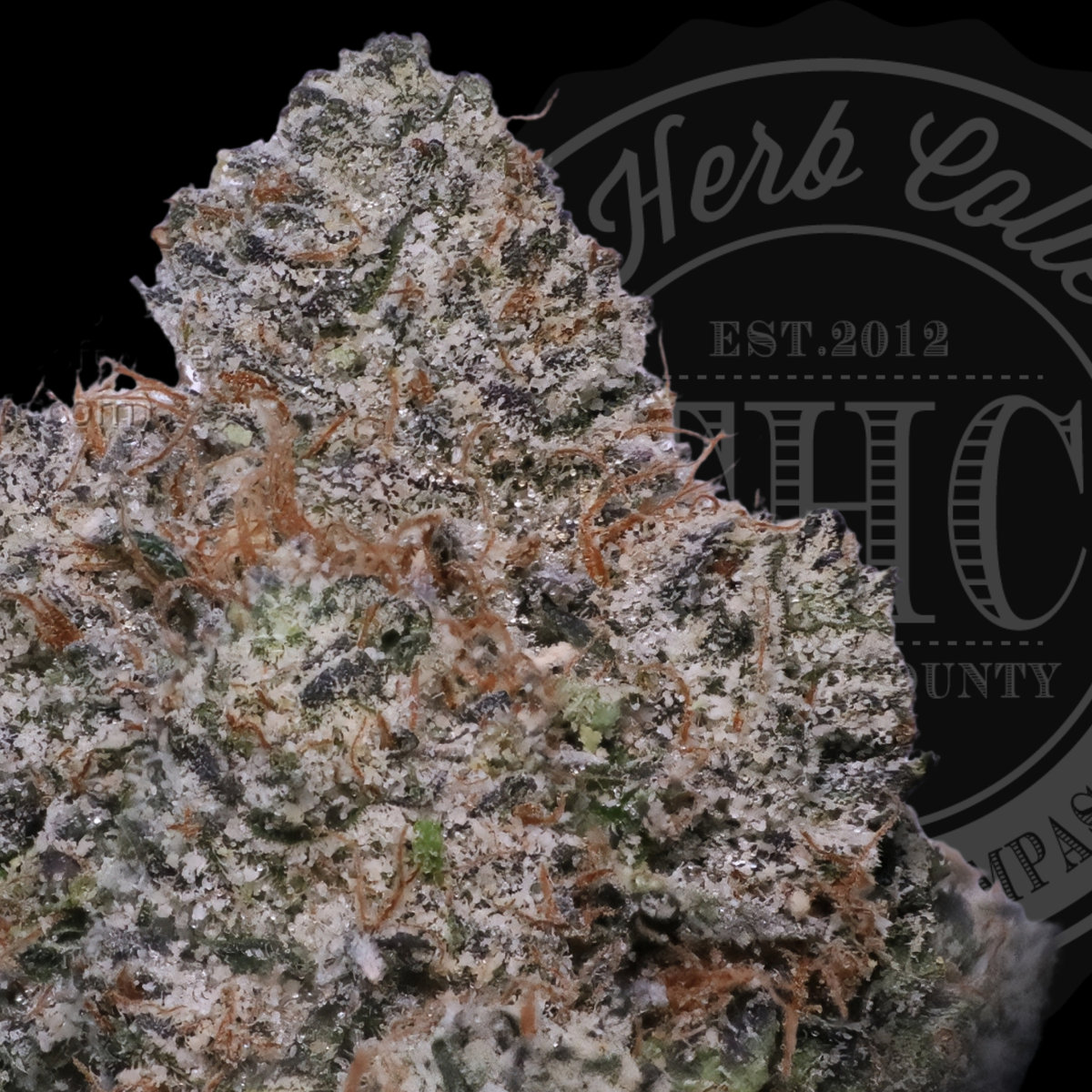 War Heads 34.8%