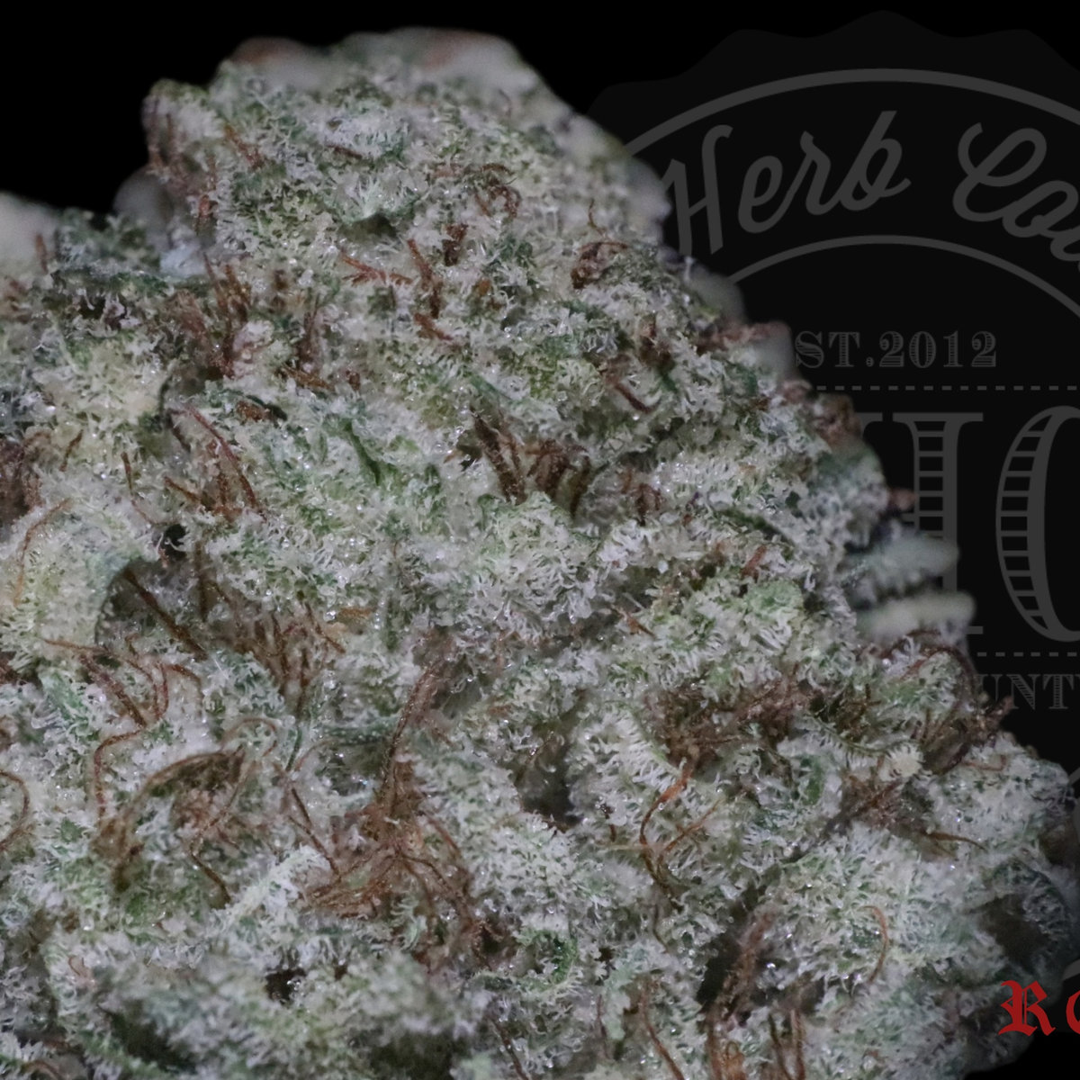 Candy Wreck 27.2%