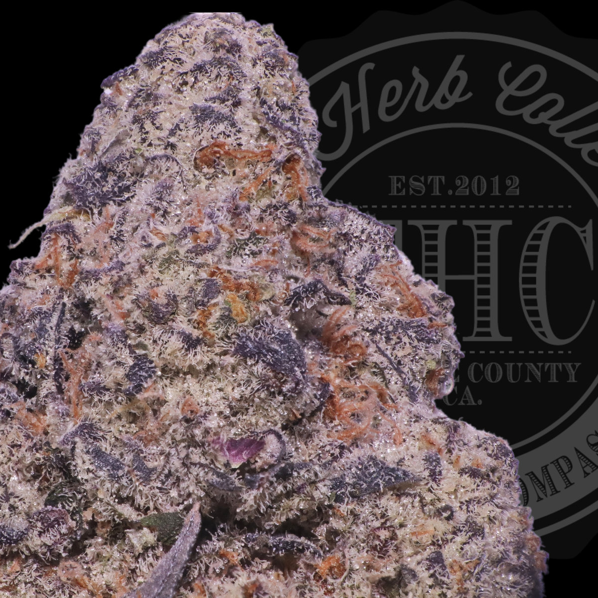 Kosherz 33.8%