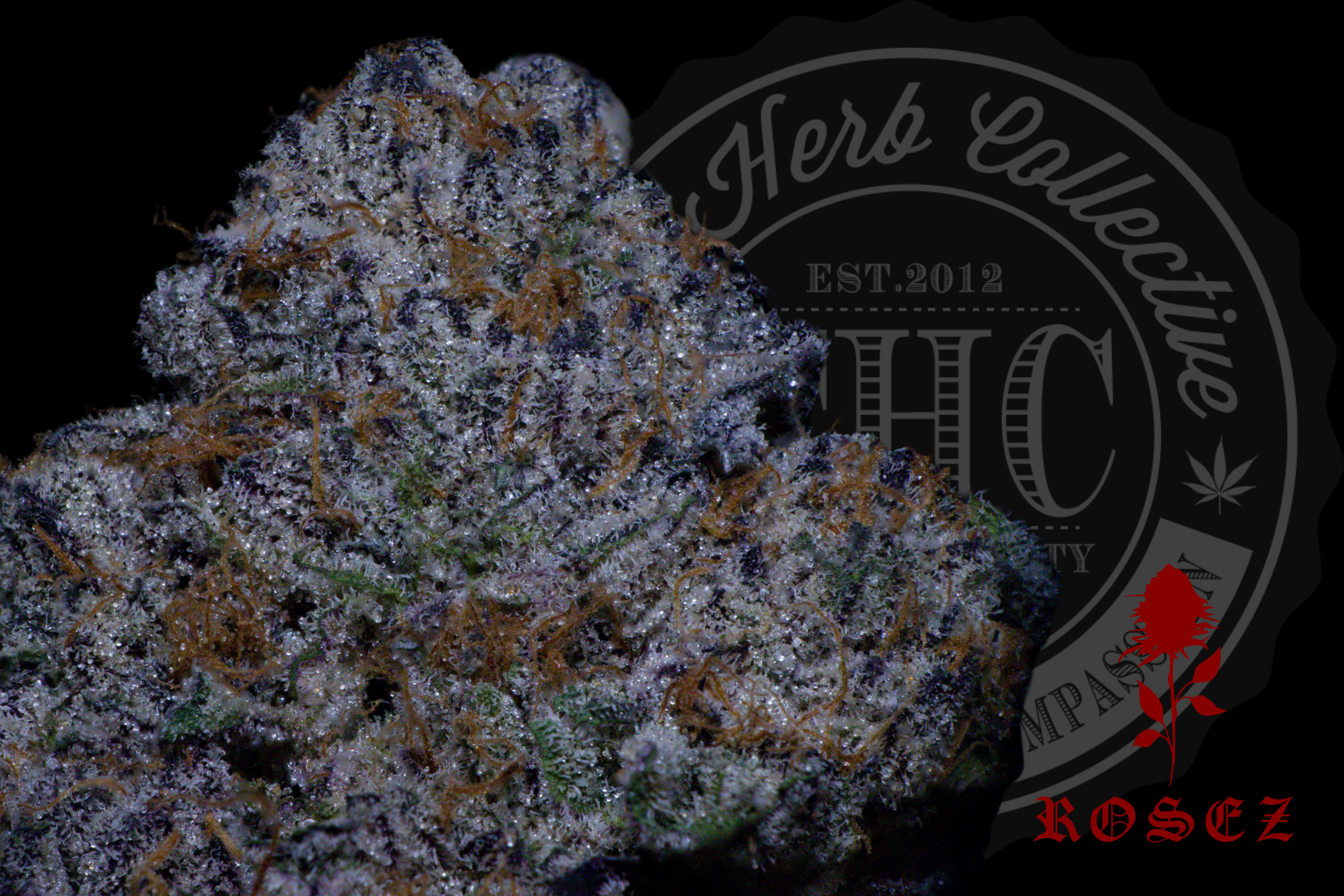 Milk N Cookies 30.2%