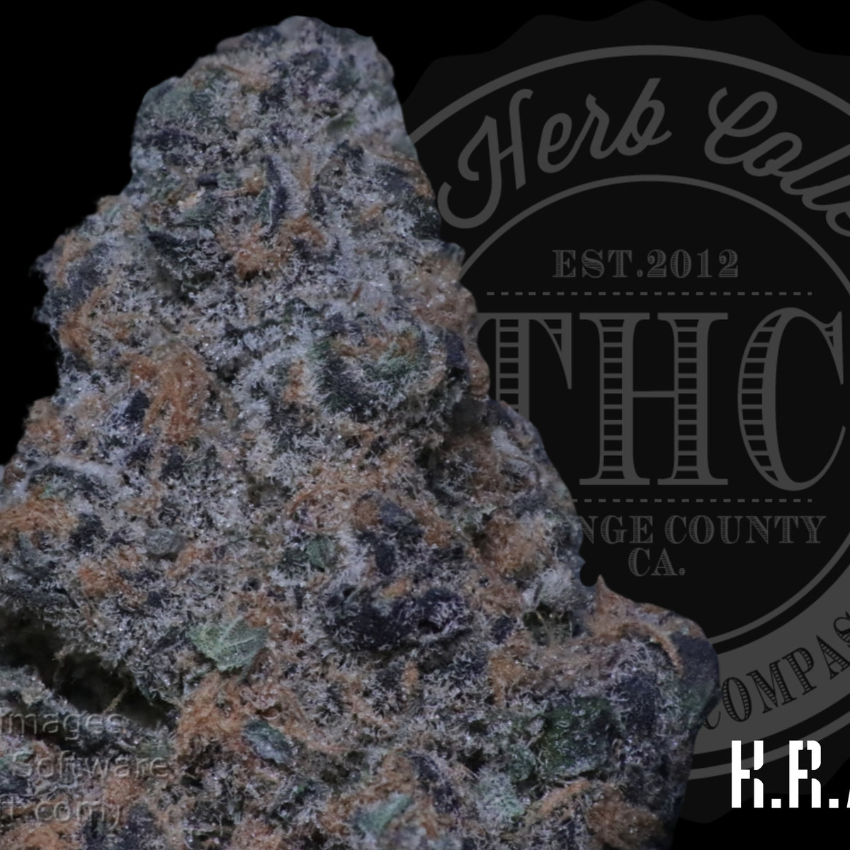 Hawaiian Urkle 32.6%