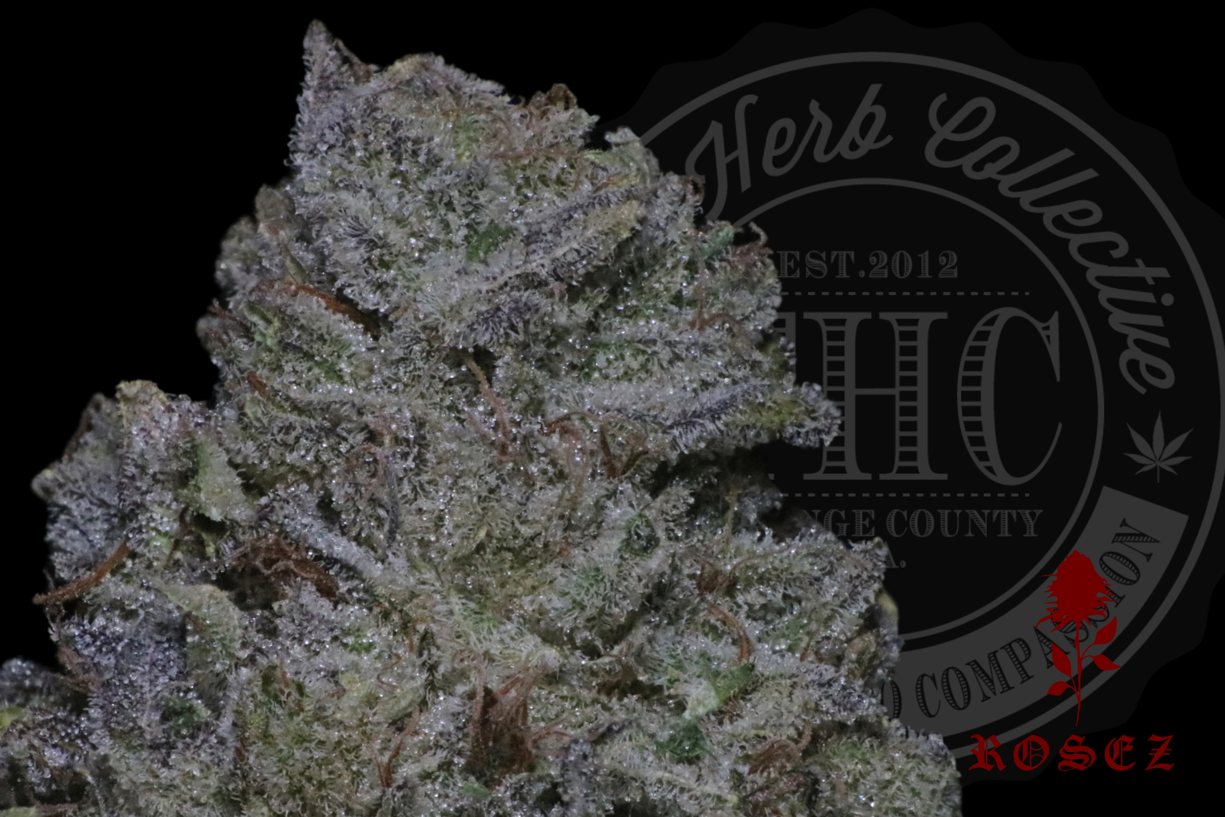 Mars Glue 27.8%