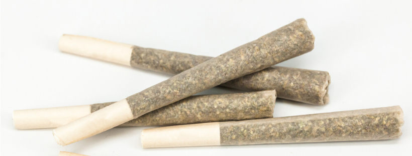 What Are Pre-Rolls