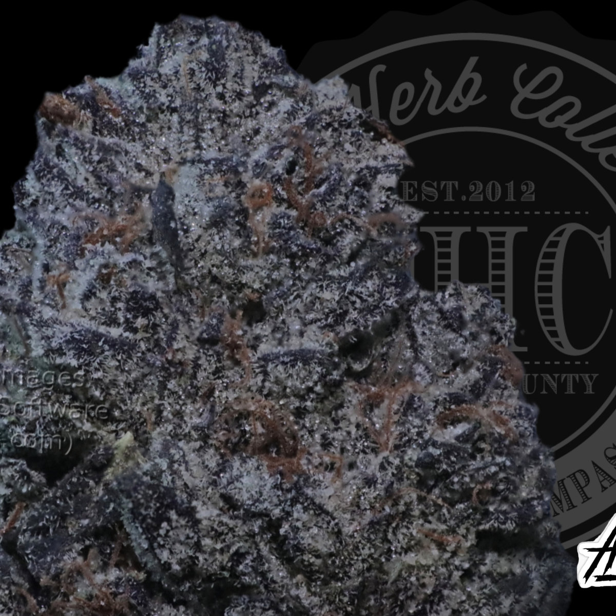 Kryptochronic 33.8%
