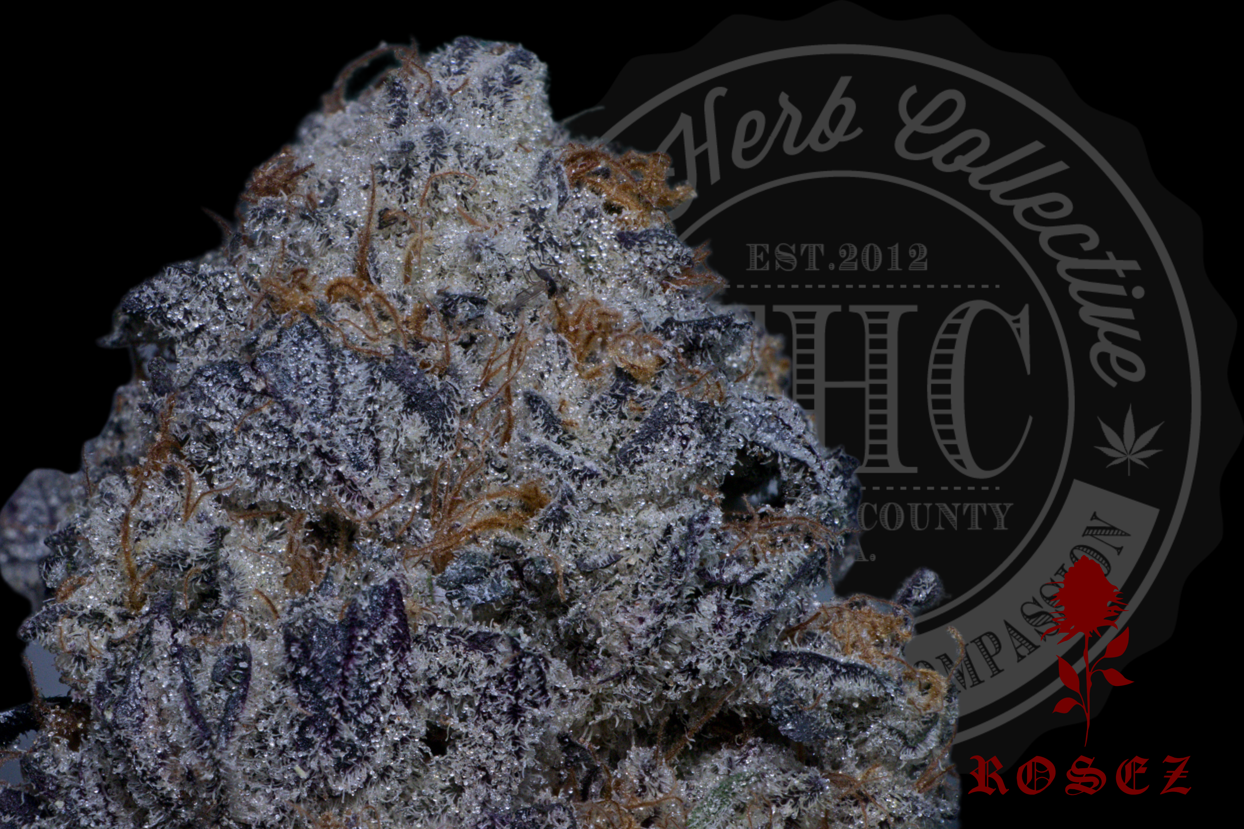 White Out Cookies 32.8 %