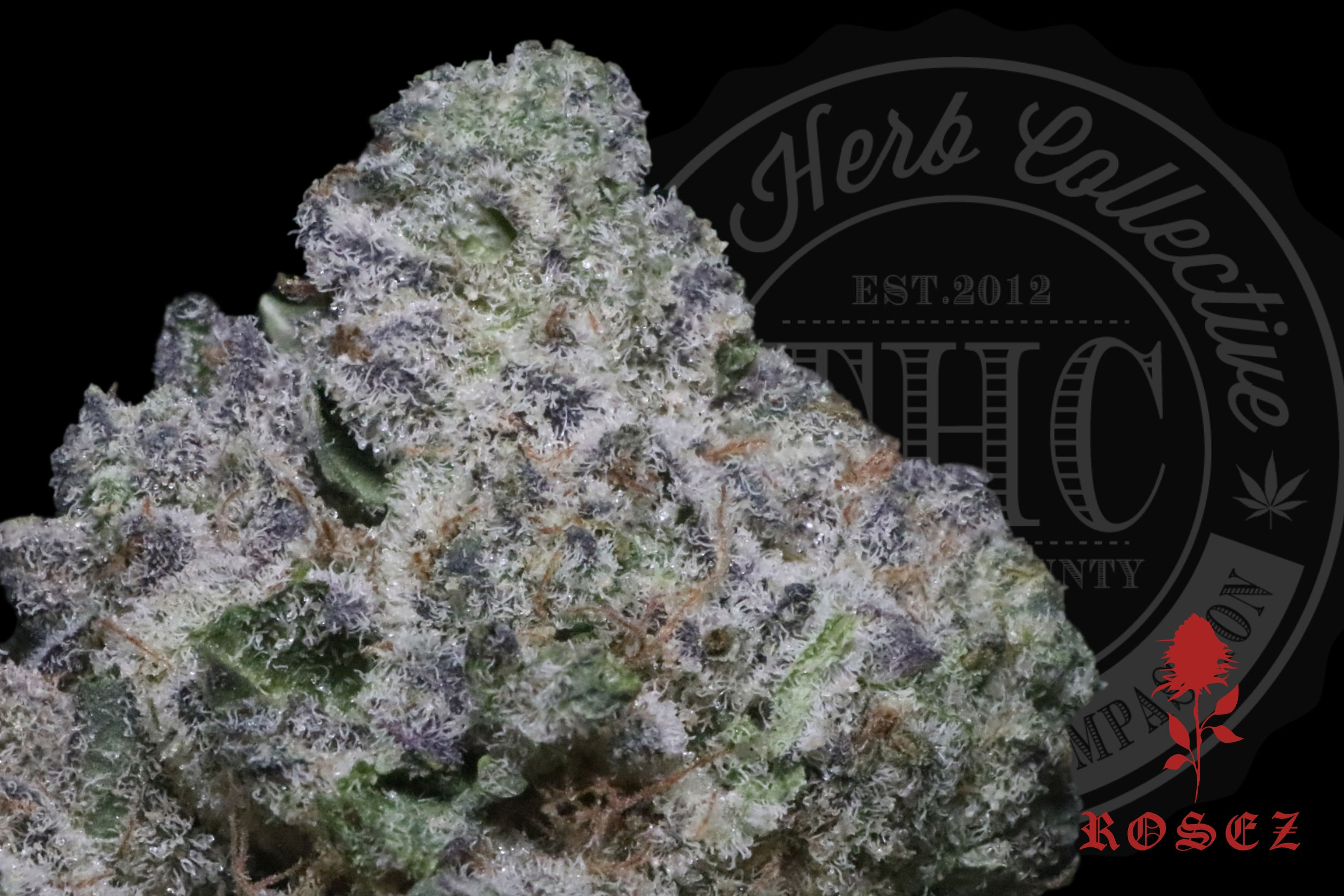 WEDDING MINTS 28.2% | POPCORN NUGS | ROSEZ CO. X SIN CITY