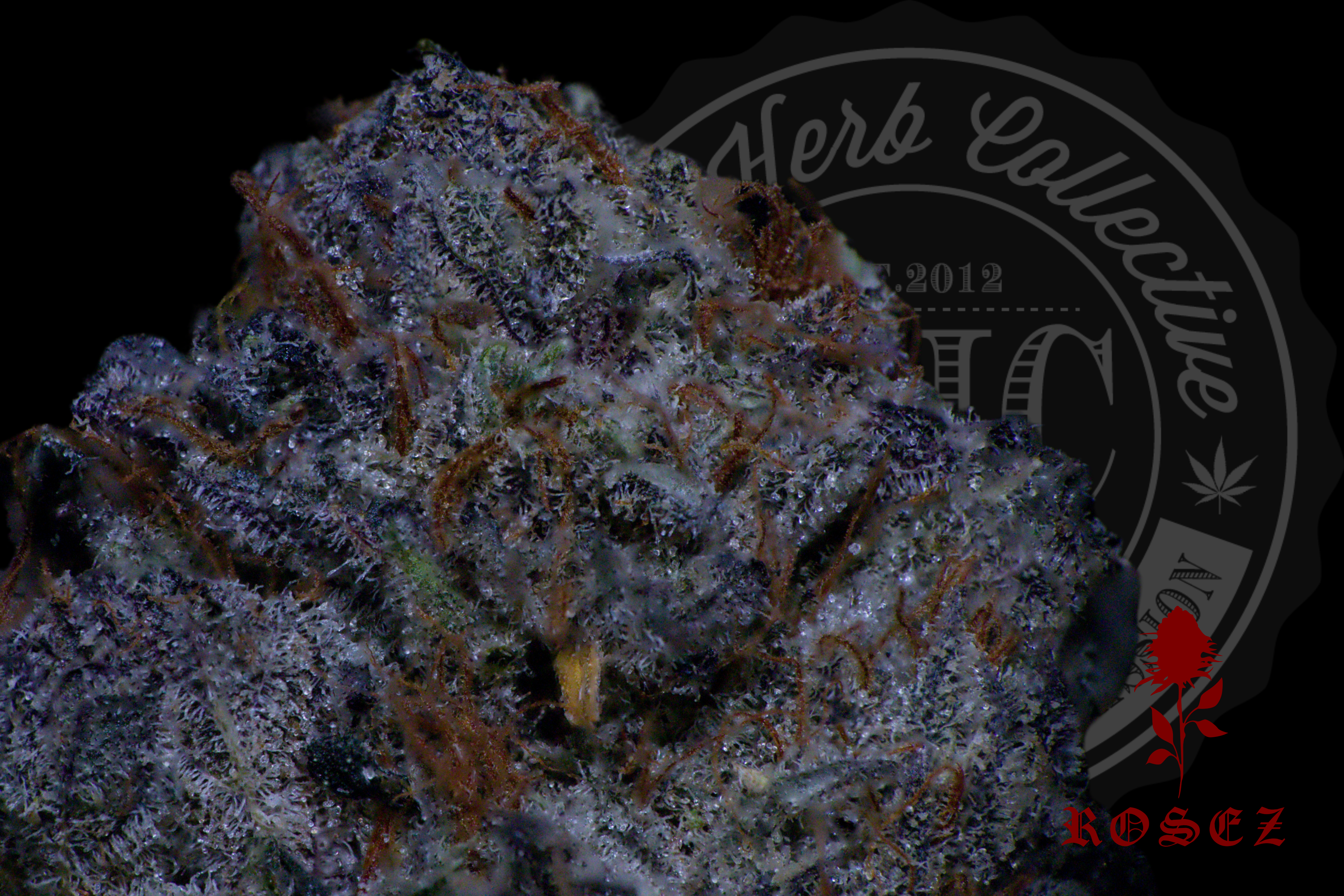 Mendo Purple 27.1%