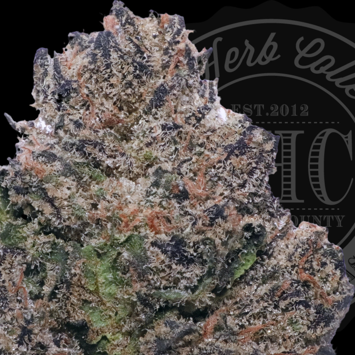 Peach Crescendo 35.6%