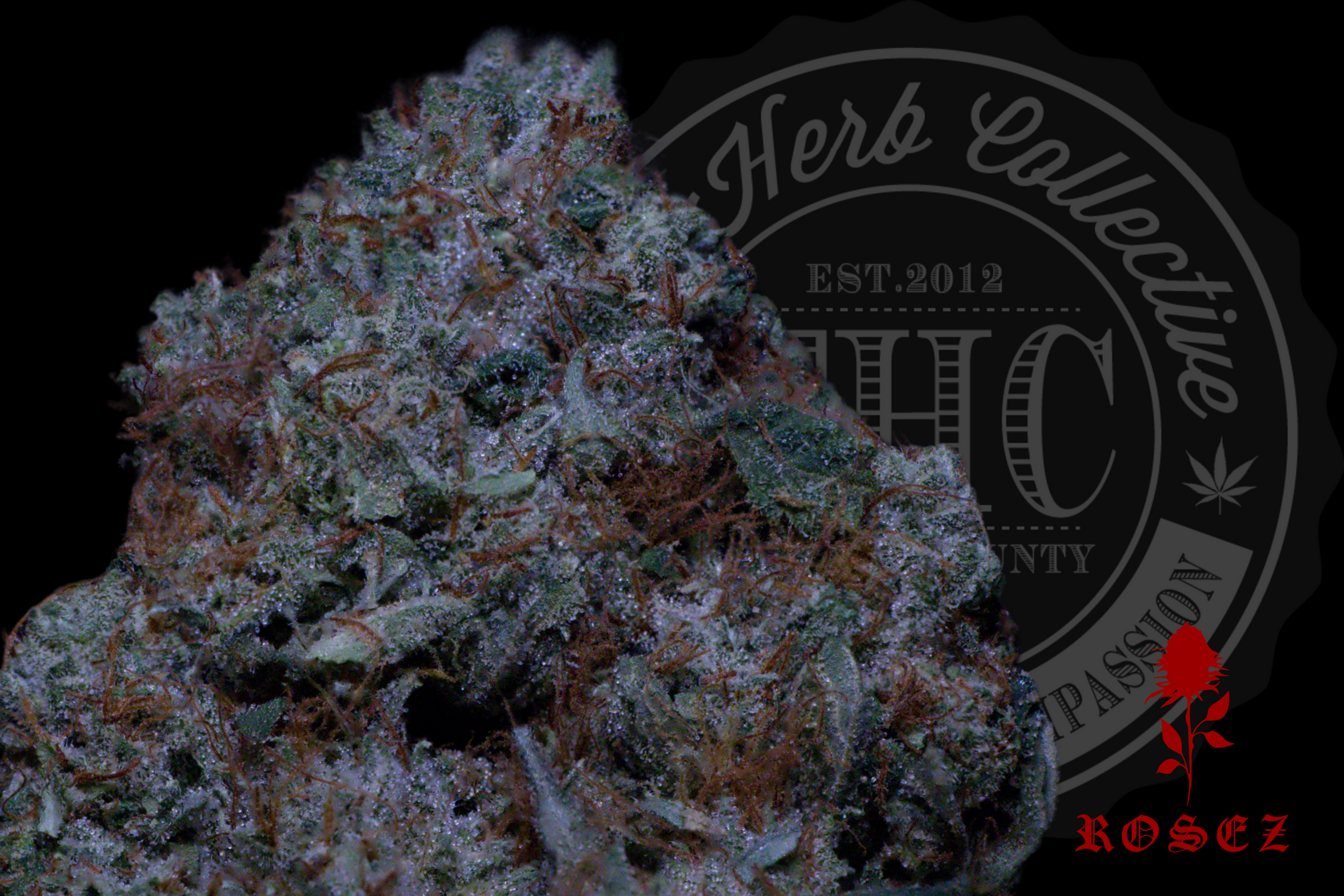 Precious OG 27.8%