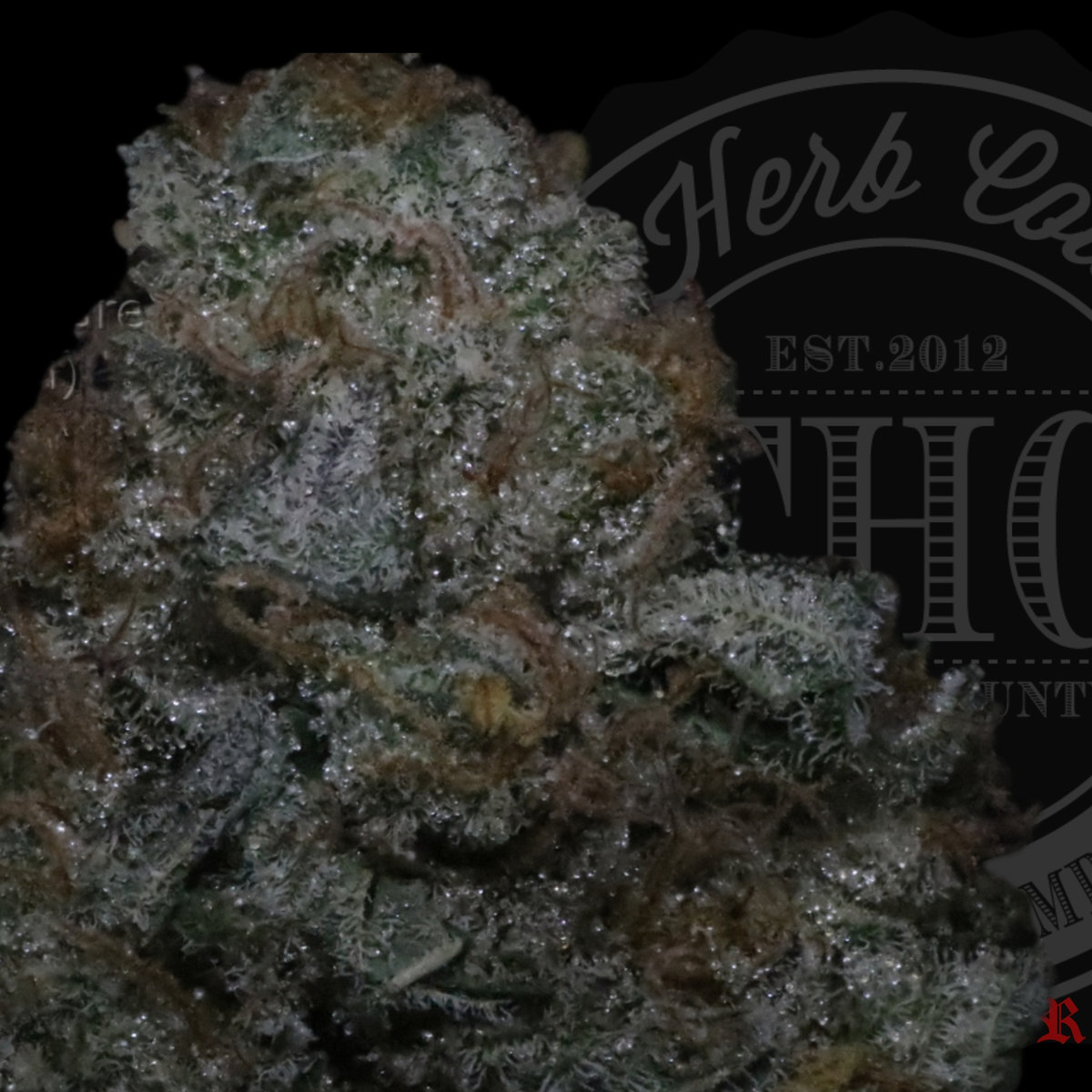 GMO Breath 26.4%