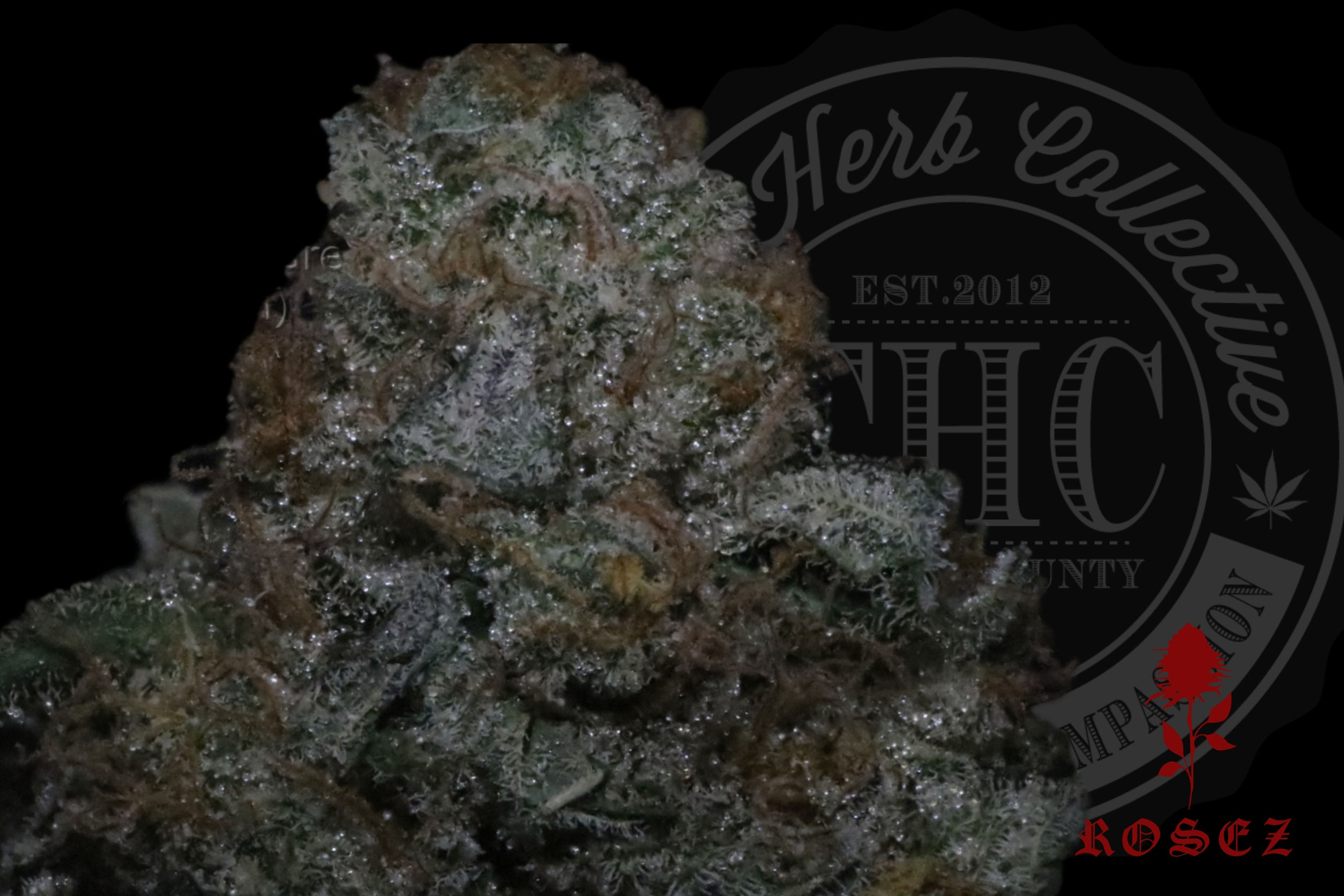 GMO BREATH 26.4% | TOP SHELF | ROSEZ CO.
