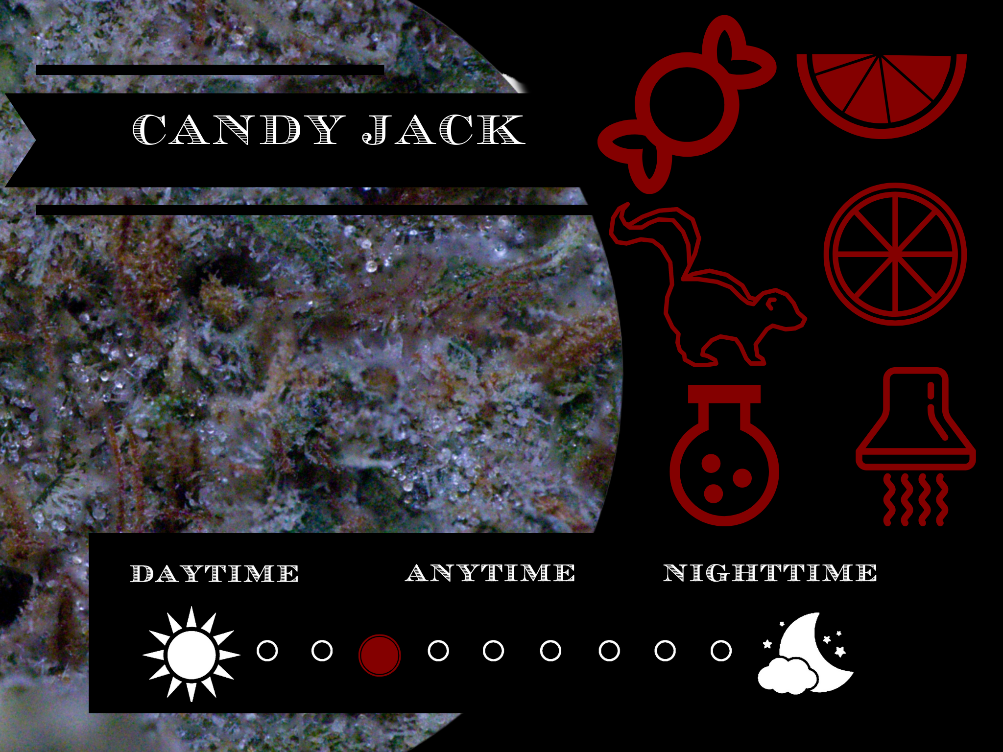 Candy Jack 26.4% view 2