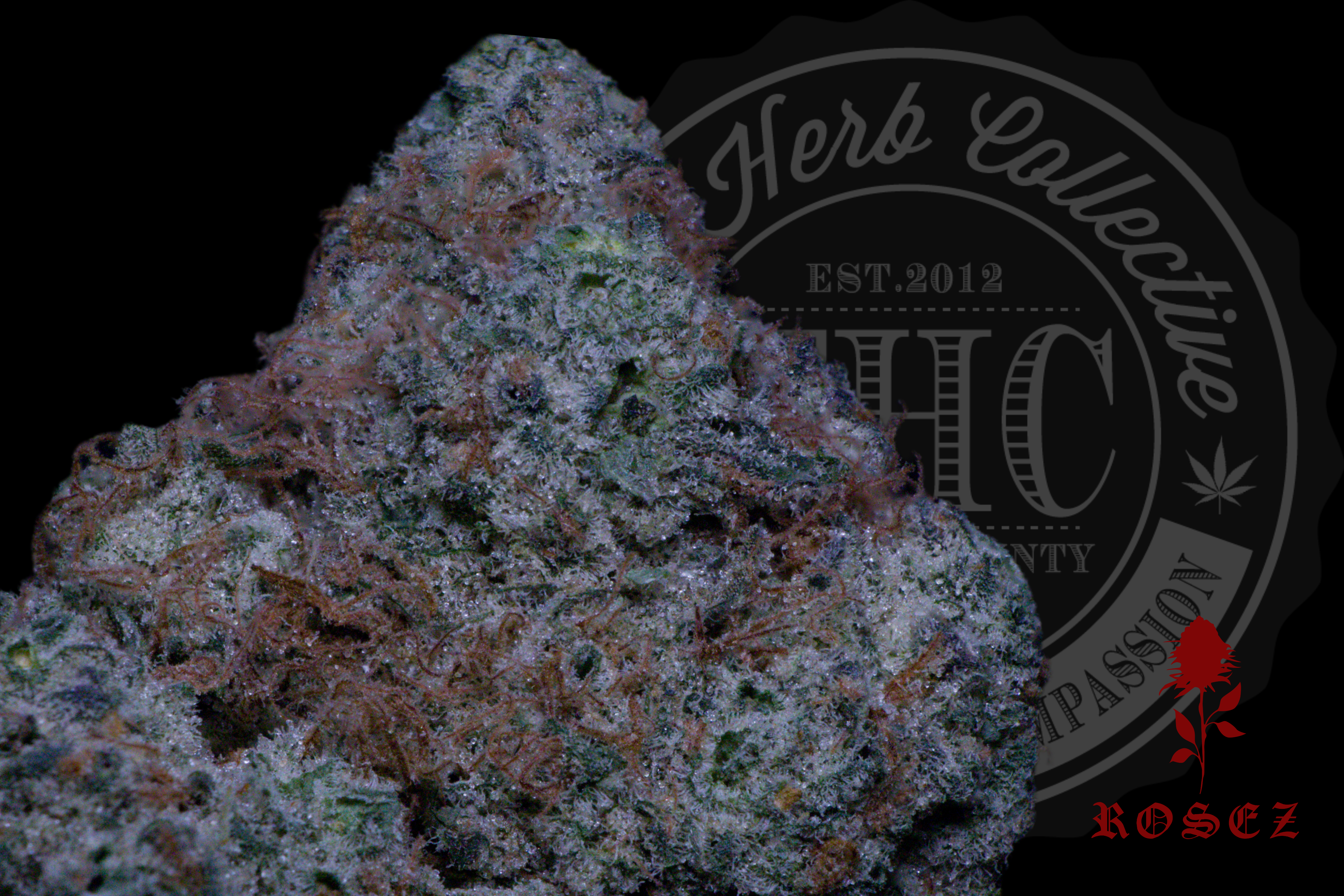 Frosted Cherry Cookies 28.0%