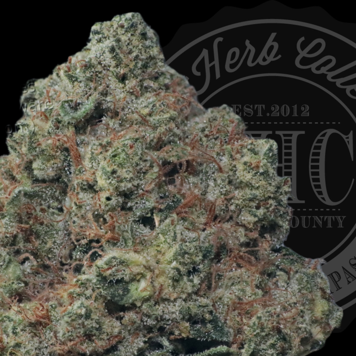Insane OG 33.2%