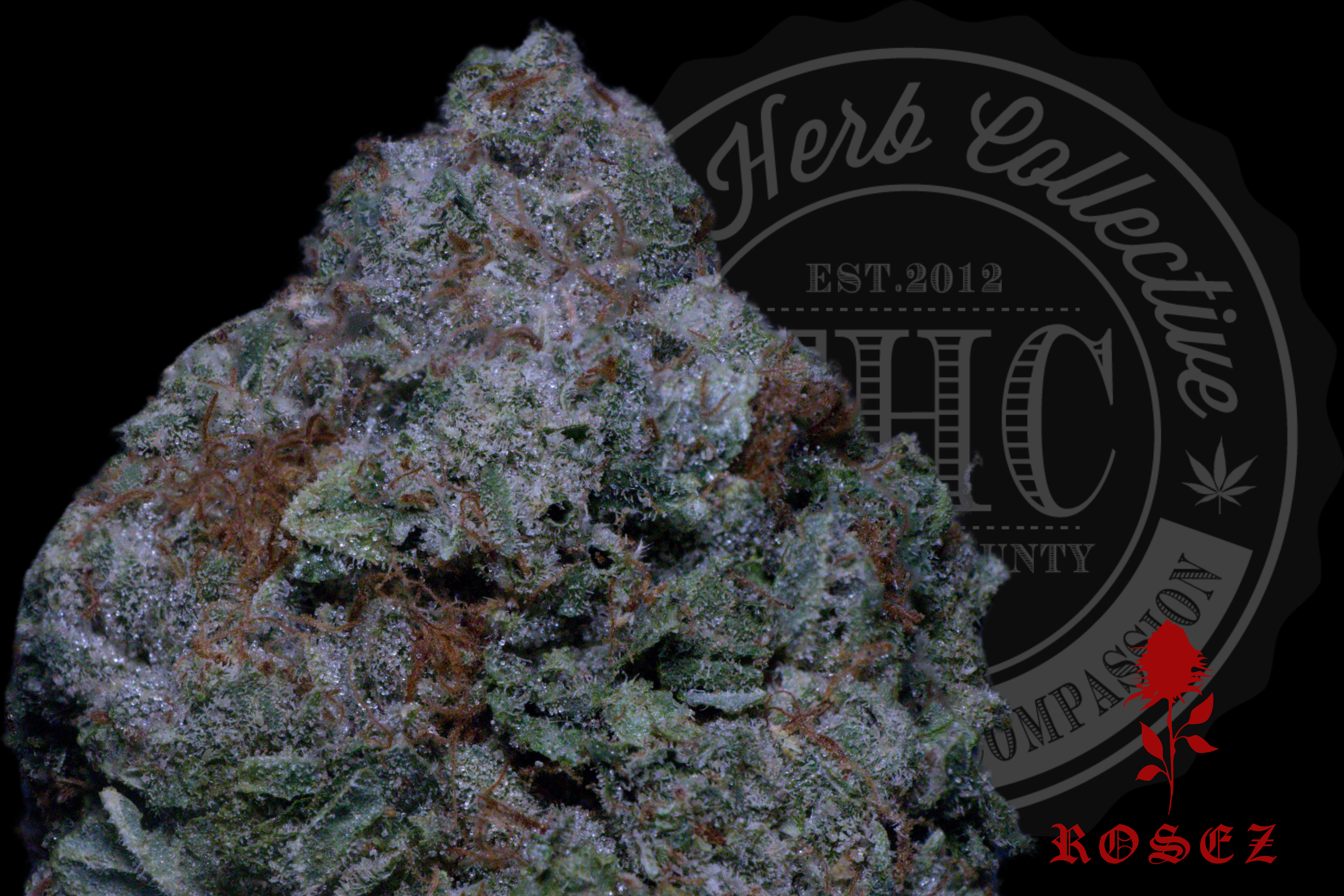 Wiz Khalifa OG
