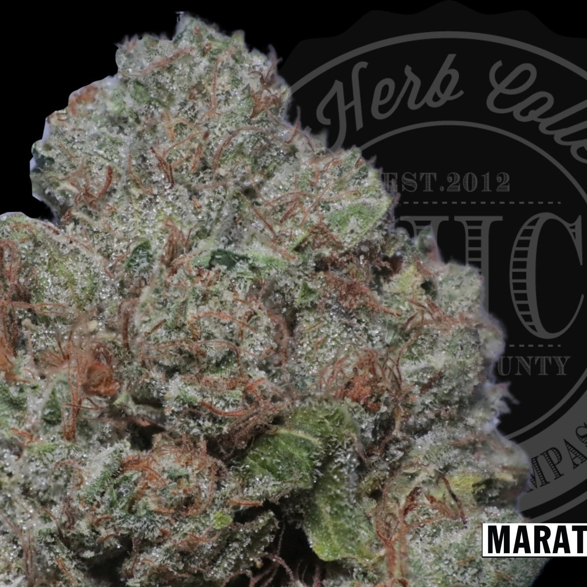 Marathon OG 33.5%