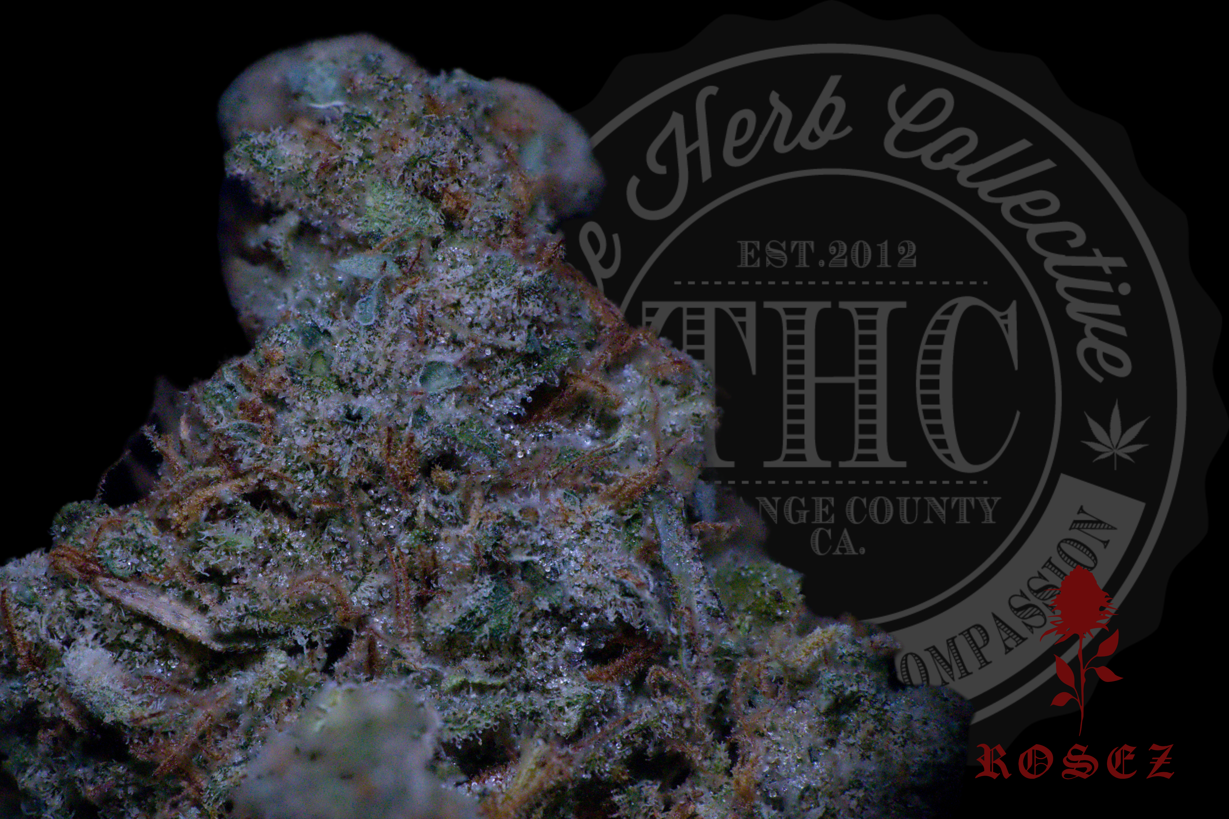 Candy Jack 26.4%