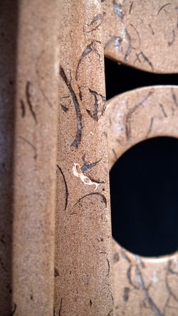 ZENITH_SY-WOOD_03_1080x1920_0006_Layer 33